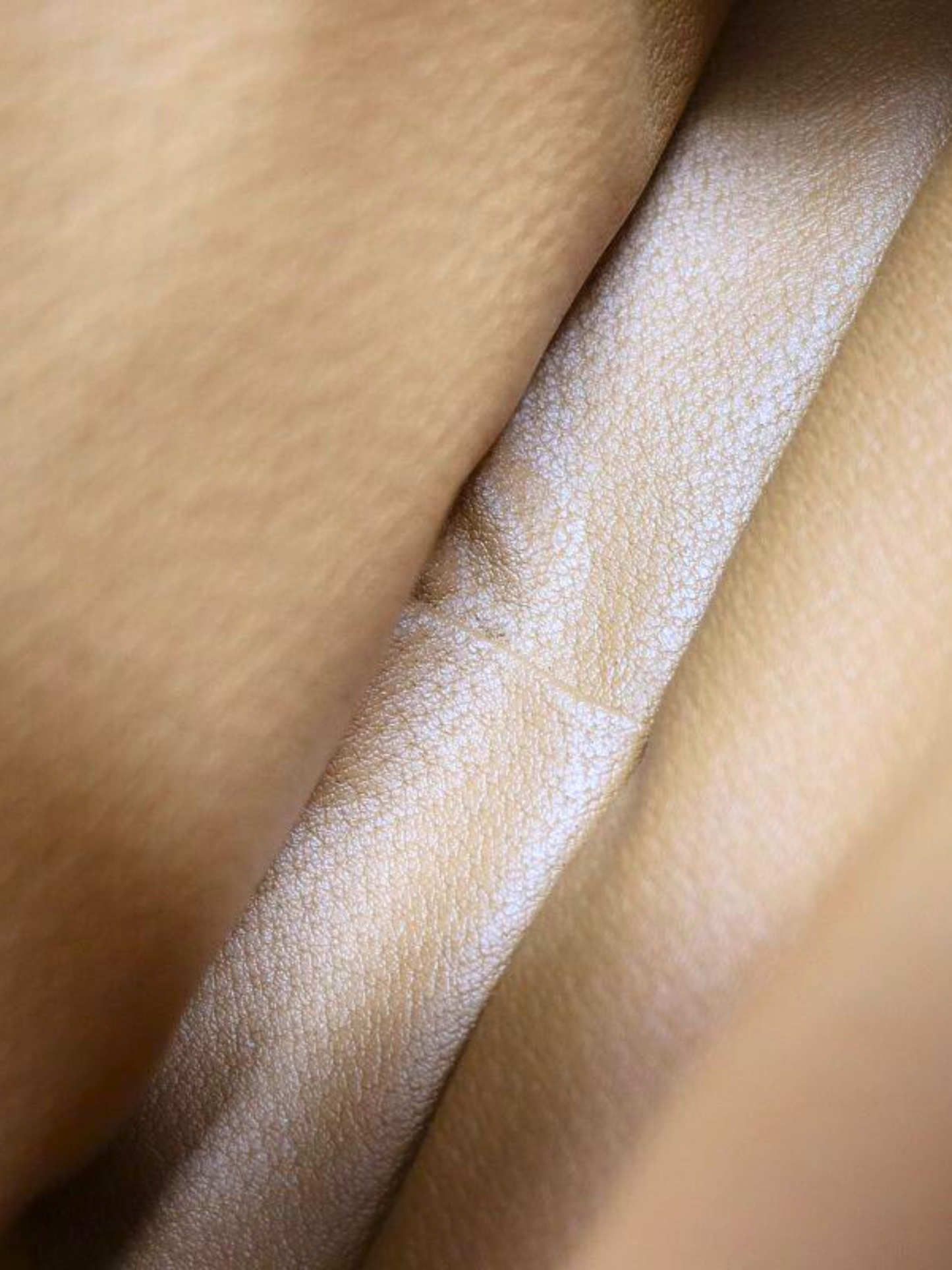 Celine 2000s Brown Macadam Turn Lock Handbag