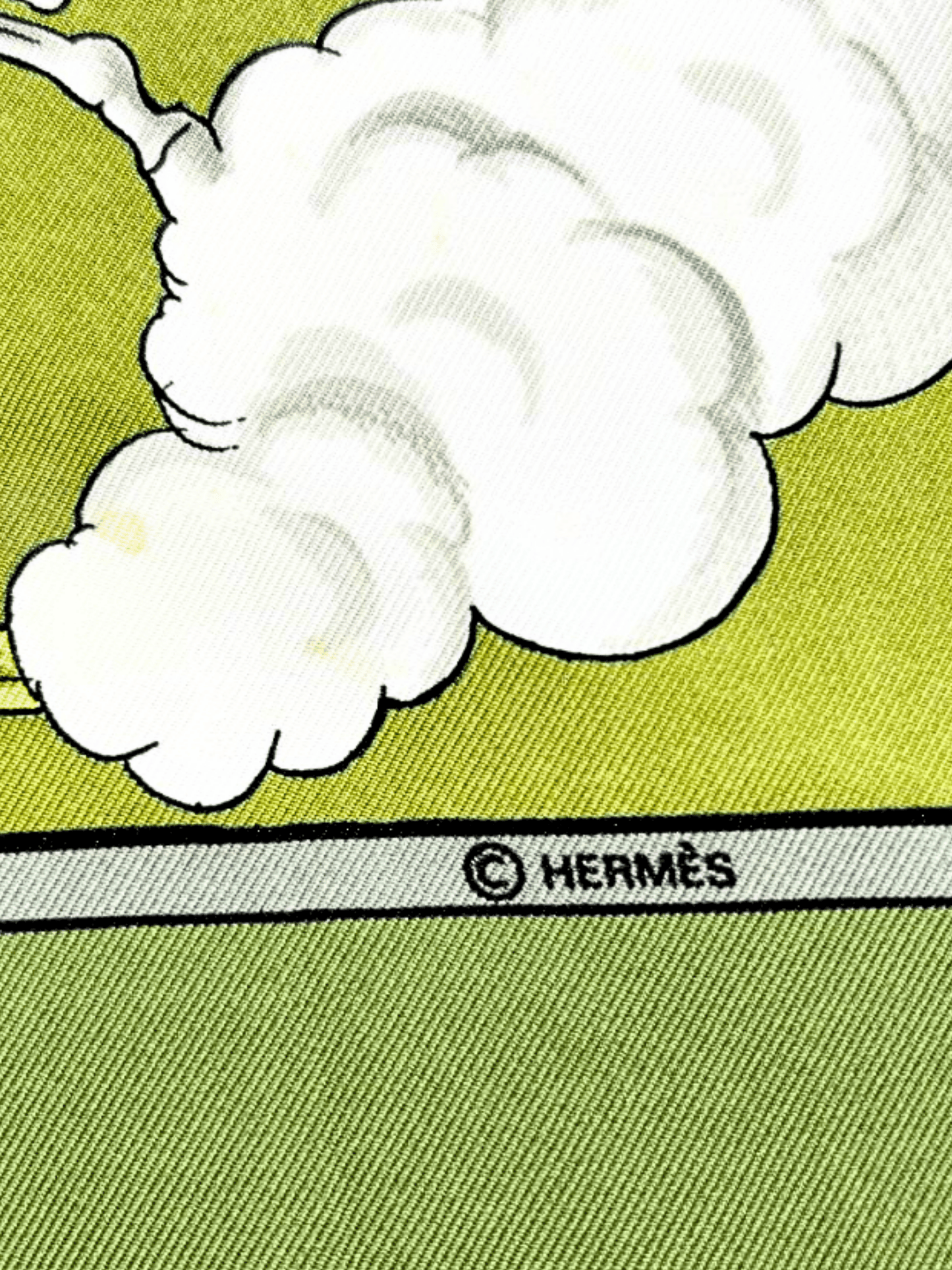 Hermes 2000s Green Cosmos Silk Carré 90 Scarf