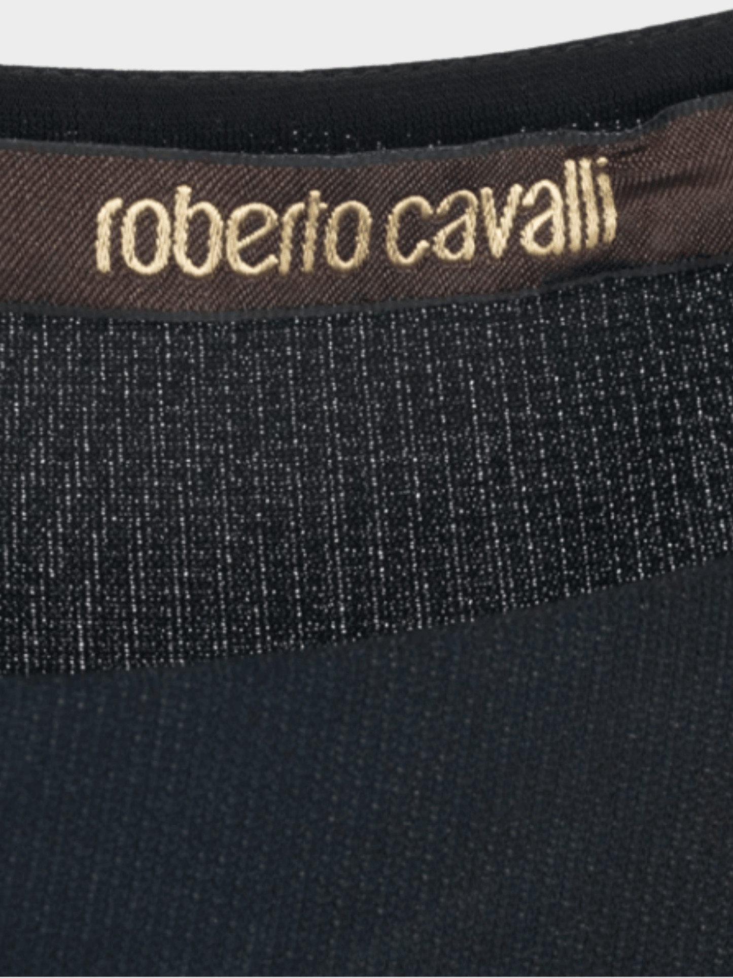 Roberto Cavalli Pre-Fall 2015 Blue & Black Star-Print Bodycon Dress