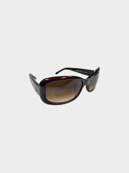 Celine 2010s Brown Triomphe Sunglasses