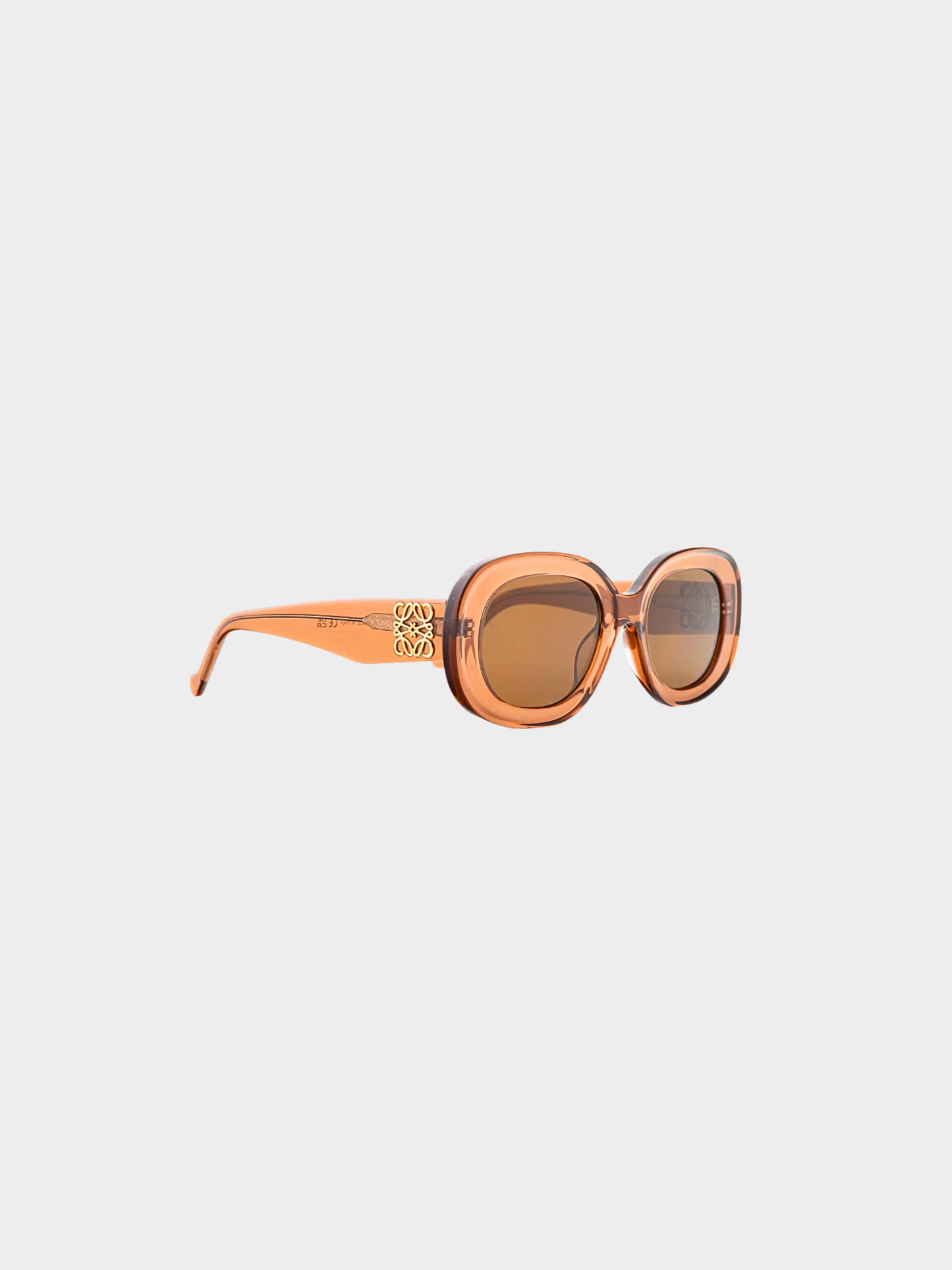 Loewe 2020s Blush Acetate Anagram Sunglasses