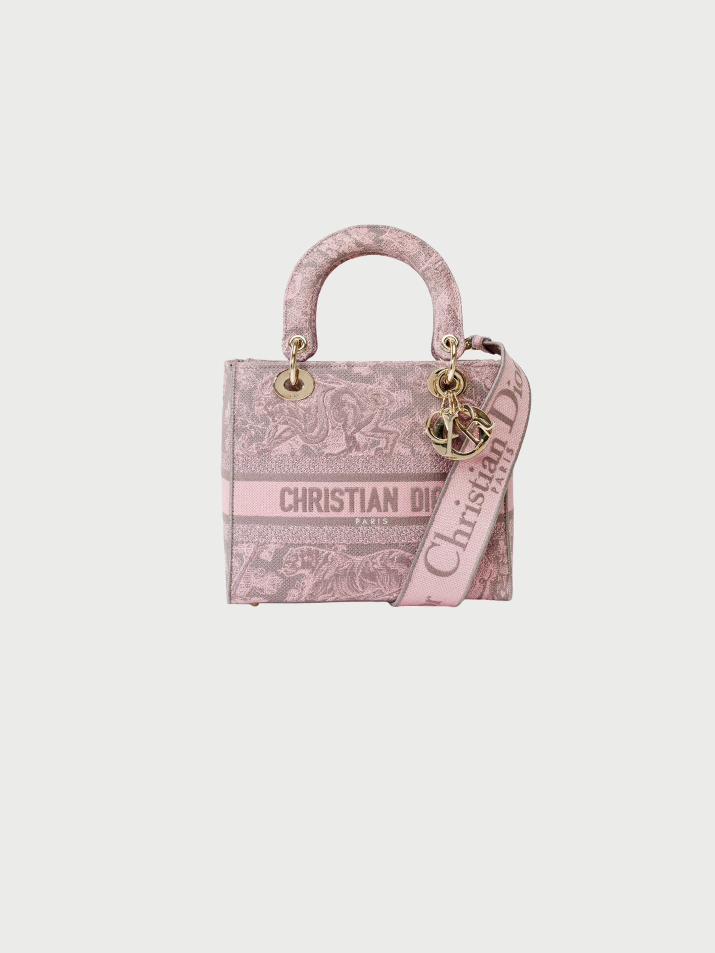 Christian Dior 2020 Pink Canvas Lady Dior D-Lite Bag