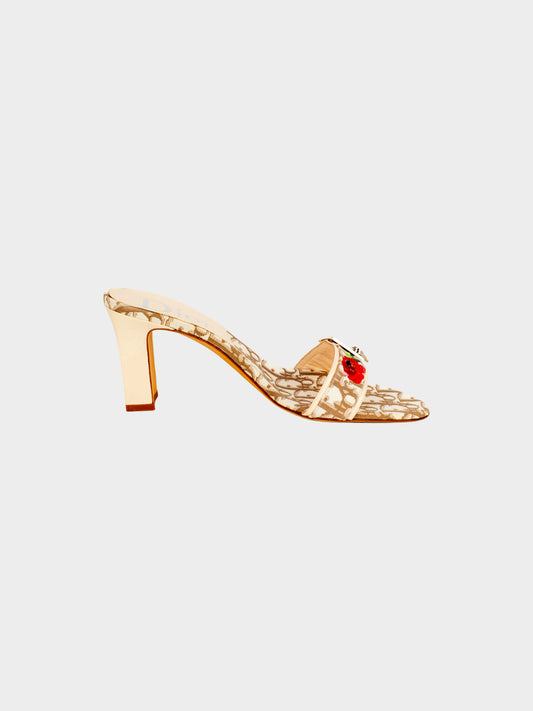 Christian Dior by John Galliano 2005 Brown Monogram High Heeled Mules
