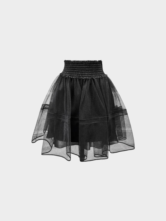Christian Dior 2020s Black Tulle Mini Skirt and Silk Slip