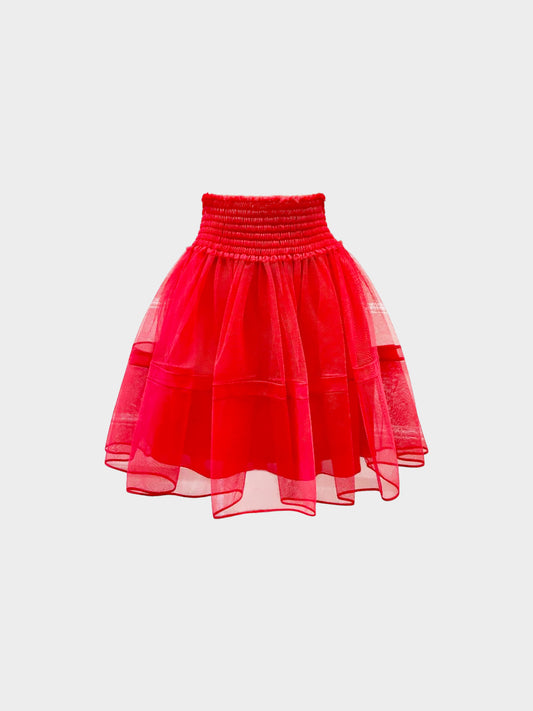 Christian Dior 2020s Red Tulle Mini Skirt and Silk Slip