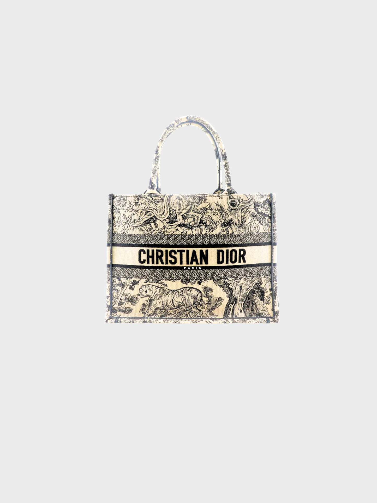 Christian Dior 2022 Beige Toile de Joui Medium Book Tote