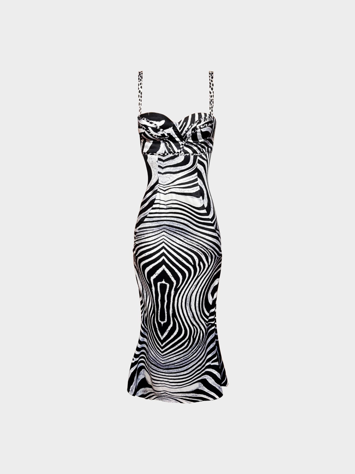 Roberto Cavalli 2000s Black and White Zebra Print Bustier Maxi Dress
