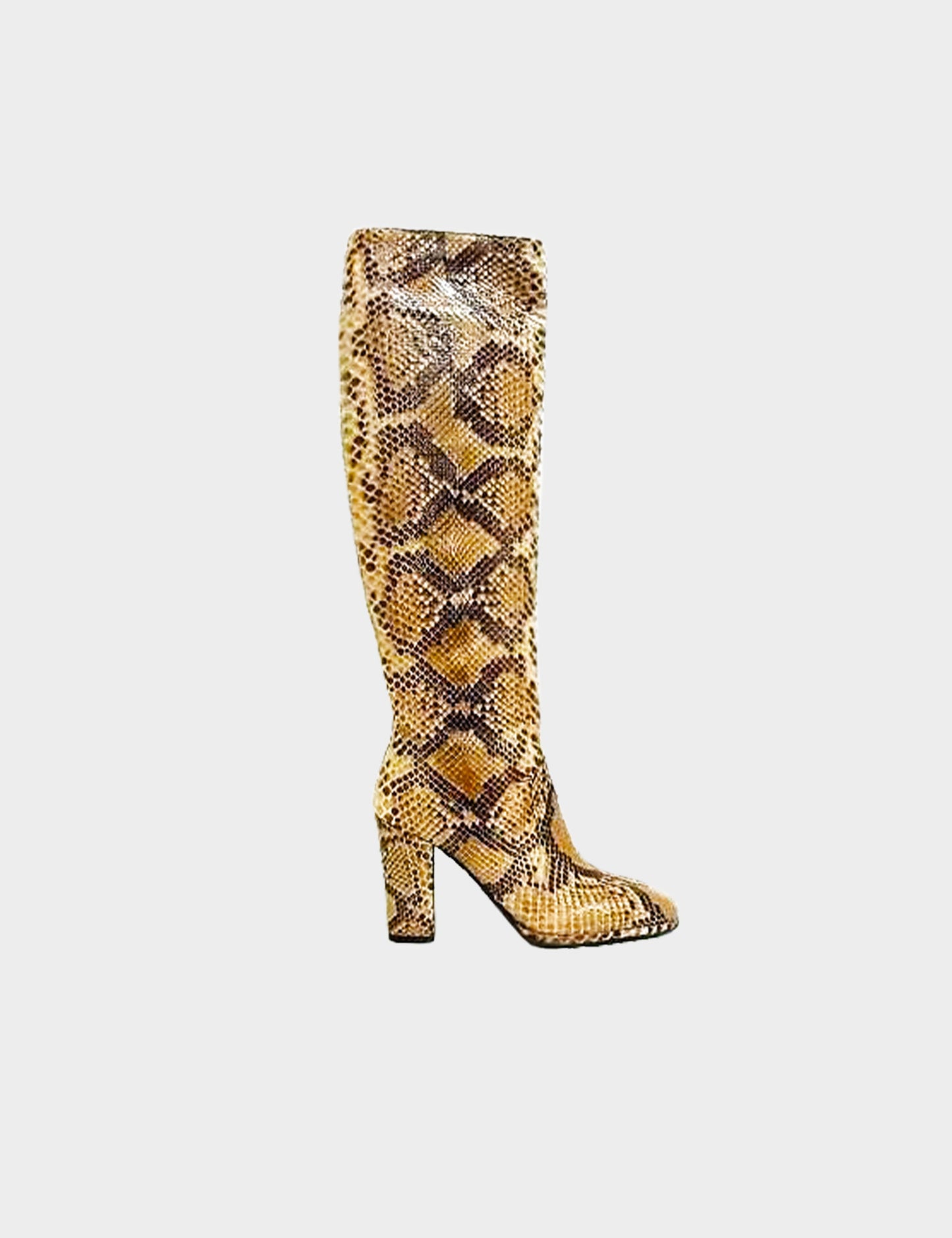 Bottega Veneta 2000s Brown Python Long Boots