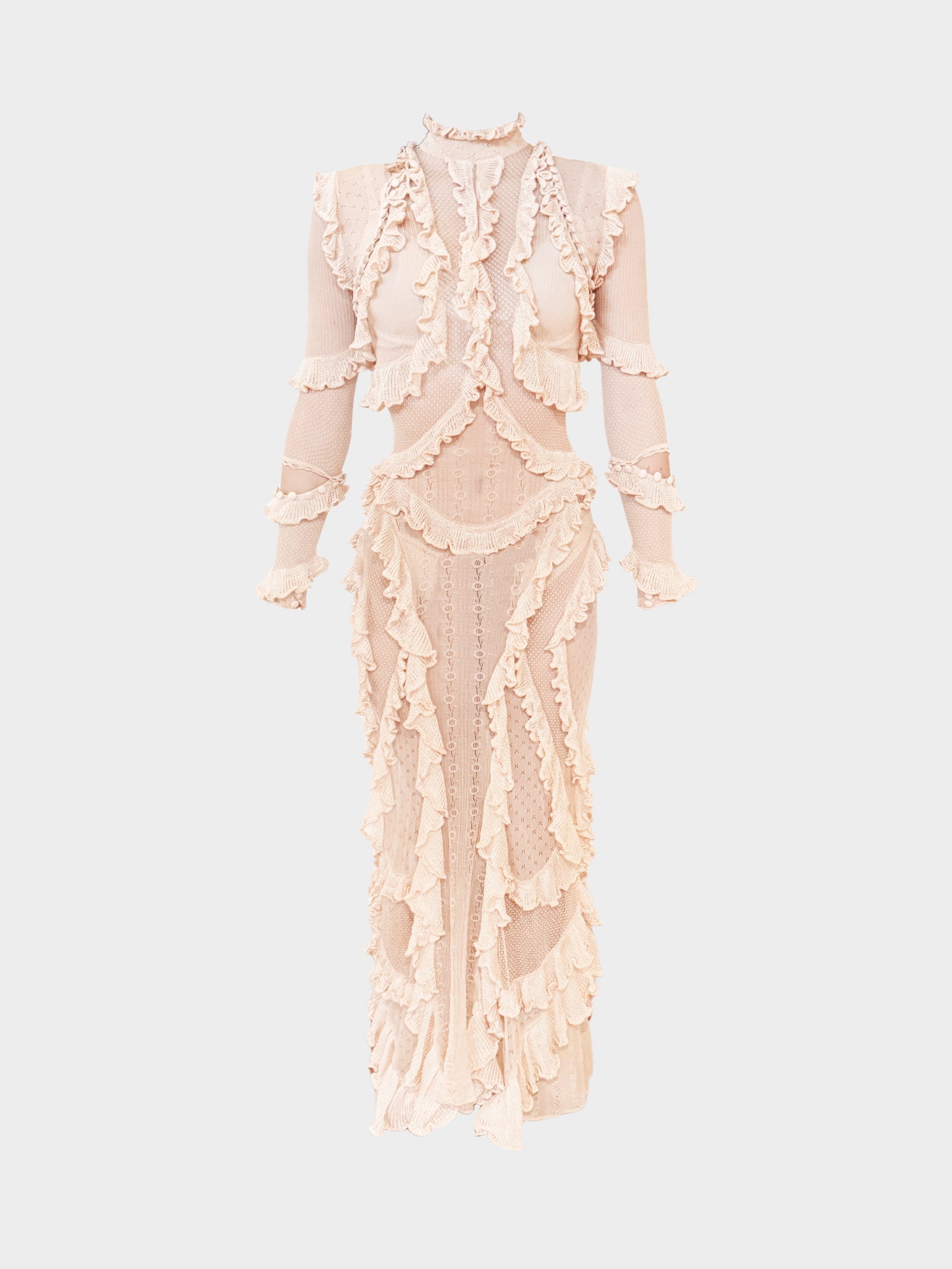 Alexander McQueen Spring 2016 Runway Beige Frills and Ruffle-detailed Sheer Long Dress