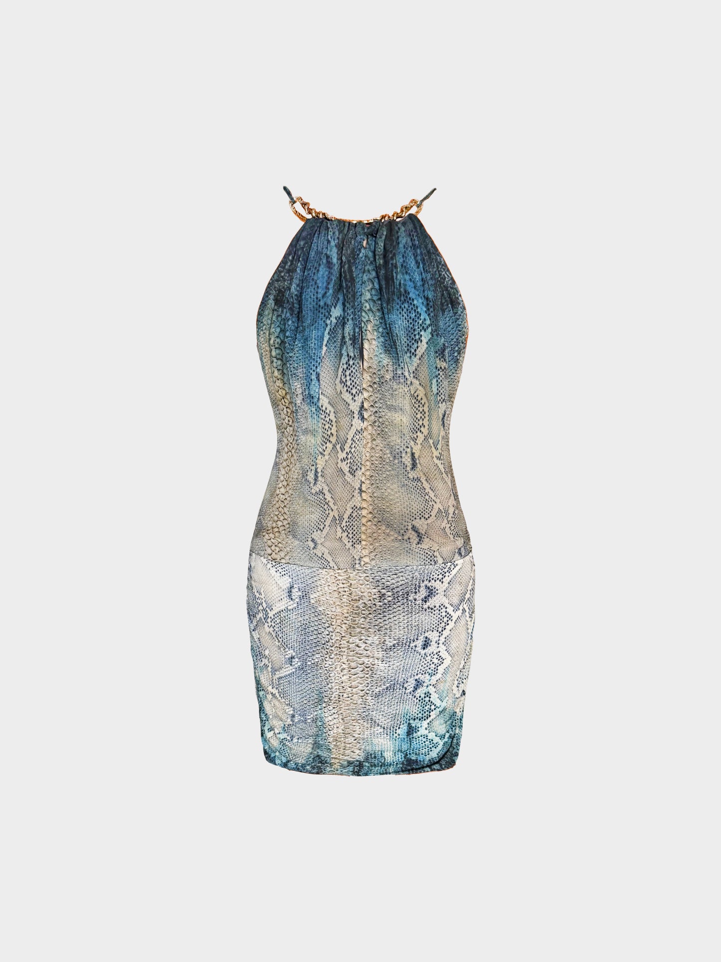 Roberto Cavalli Late 2000s Blue and Beige Snake Skin Print Silk Dress
