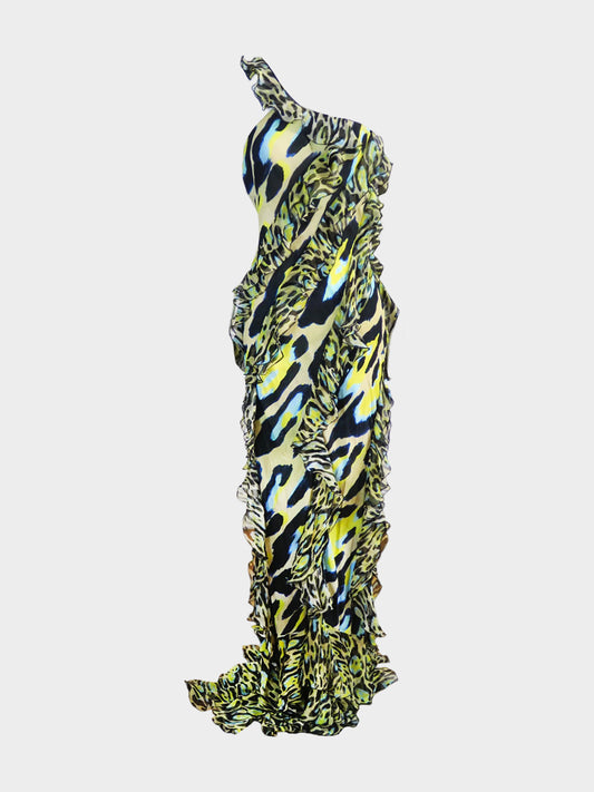 Roberto Cavalli 2023 Leopard Print Ruffled Maxi Dress