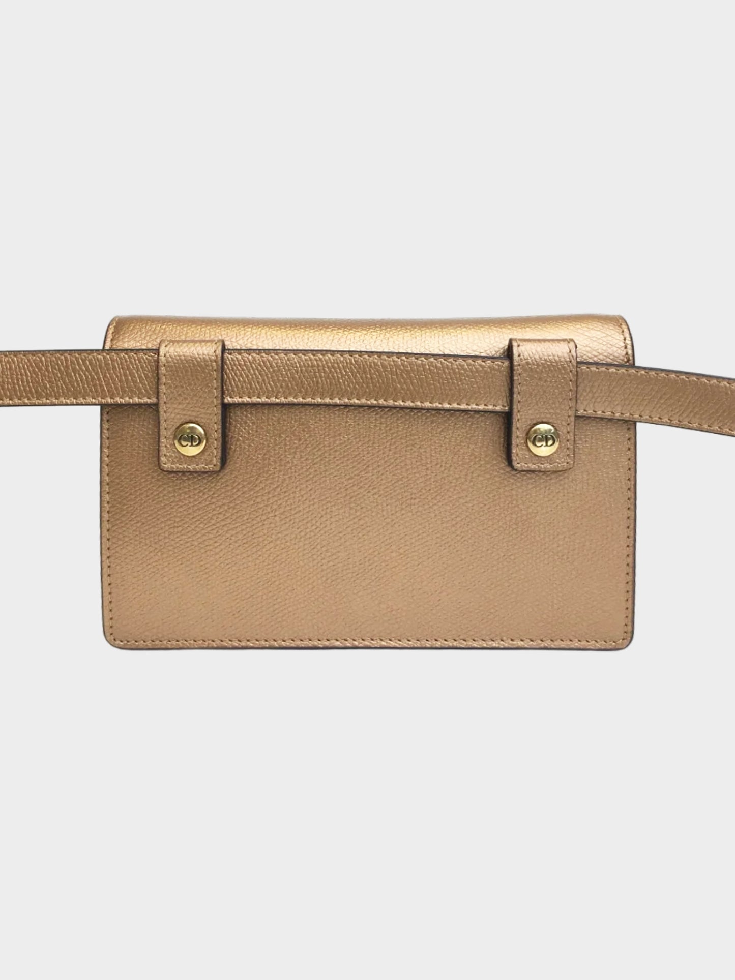 Christian Dior 2019 Gold Saddle Belt Pouch