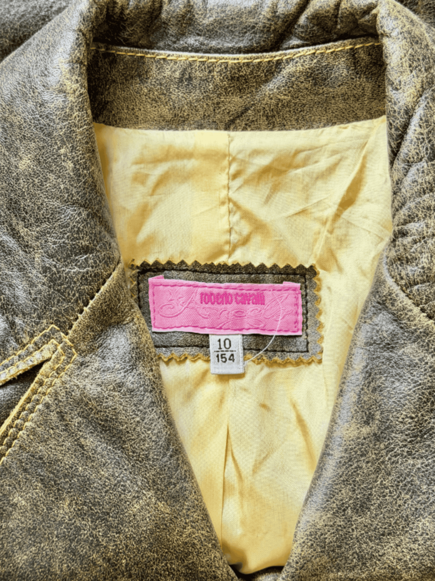 Roberto Cavalli 2001 Muted Brown Graphic Leather Jacket