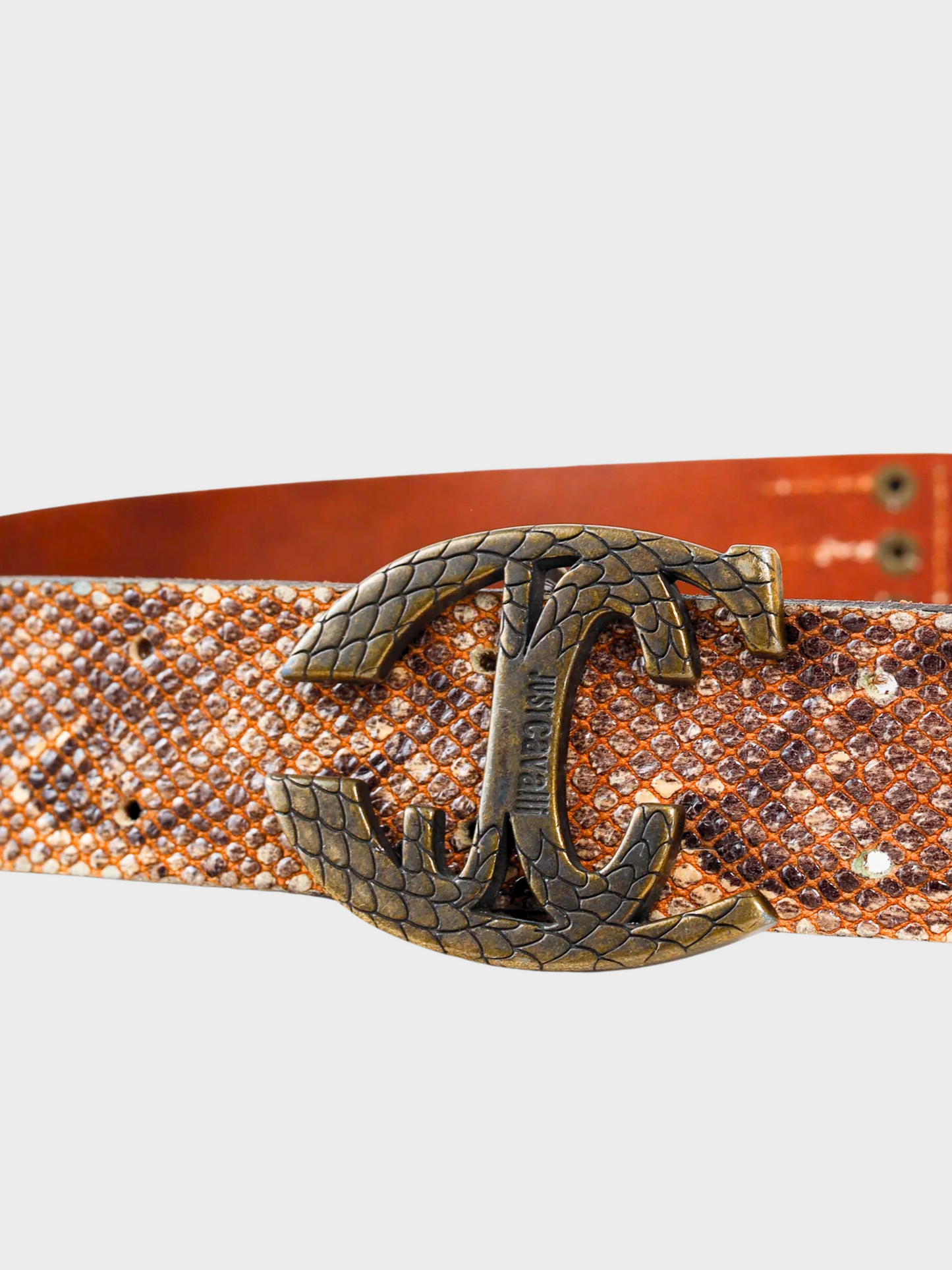 Roberto Cavalli 2000s Brown Snakeskin Logo Buckle Belt