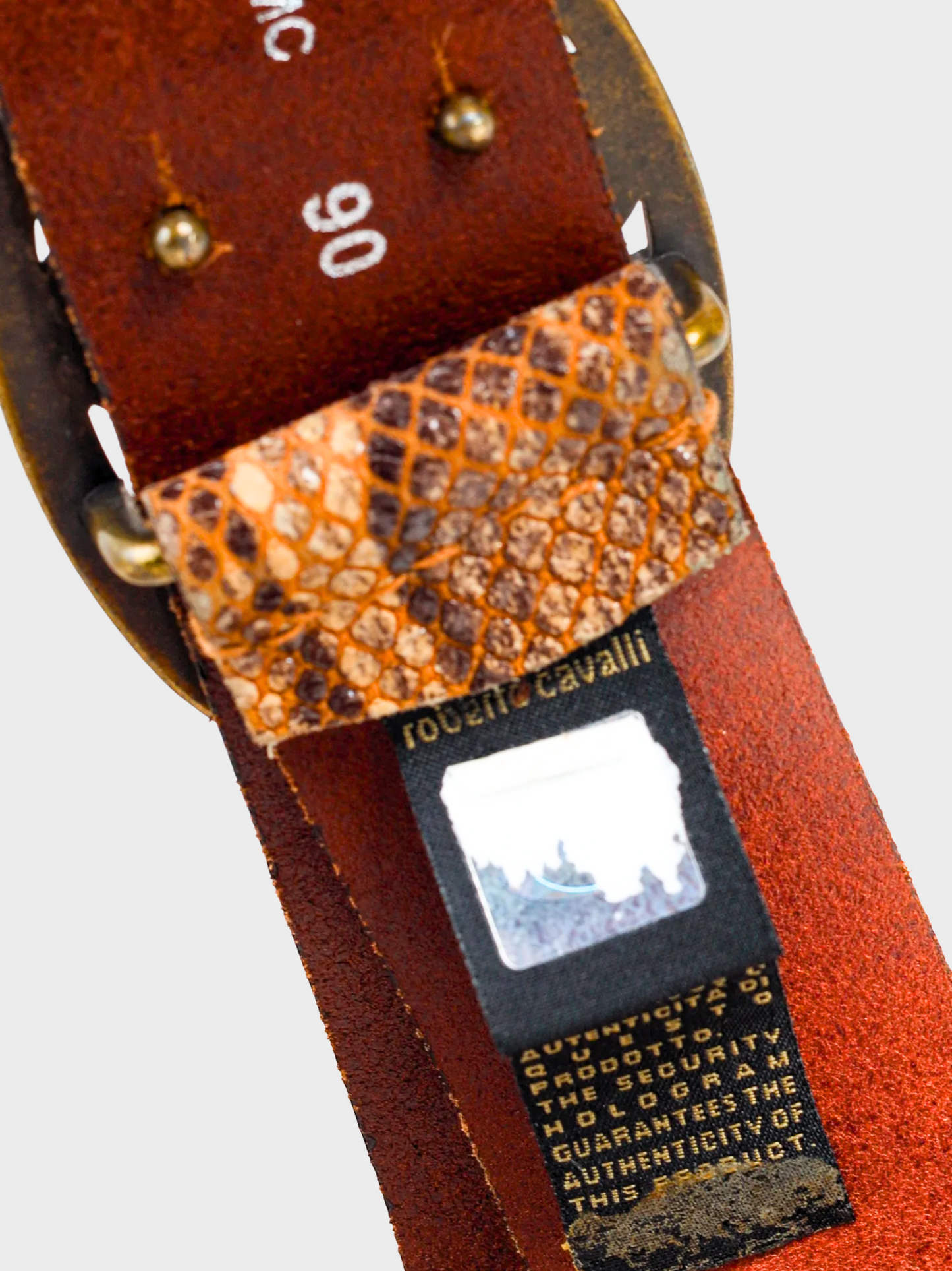 Roberto Cavalli 2000s Brown Snakeskin Logo Buckle Belt