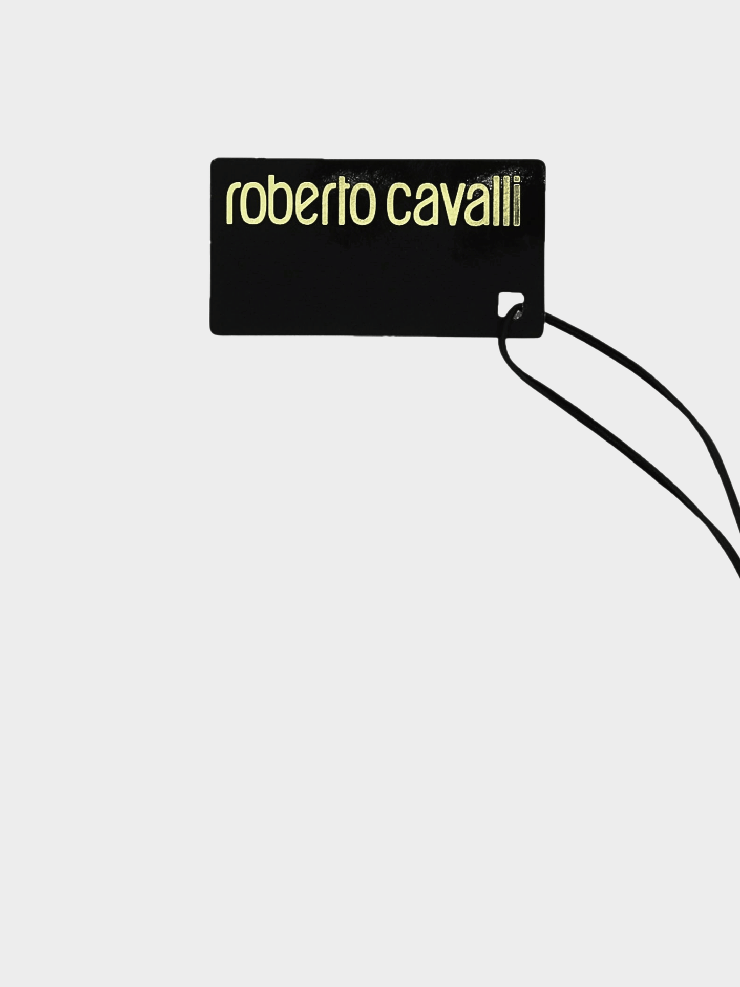 Roberto Cavalli 2000s Grey Leopard Print Scarf