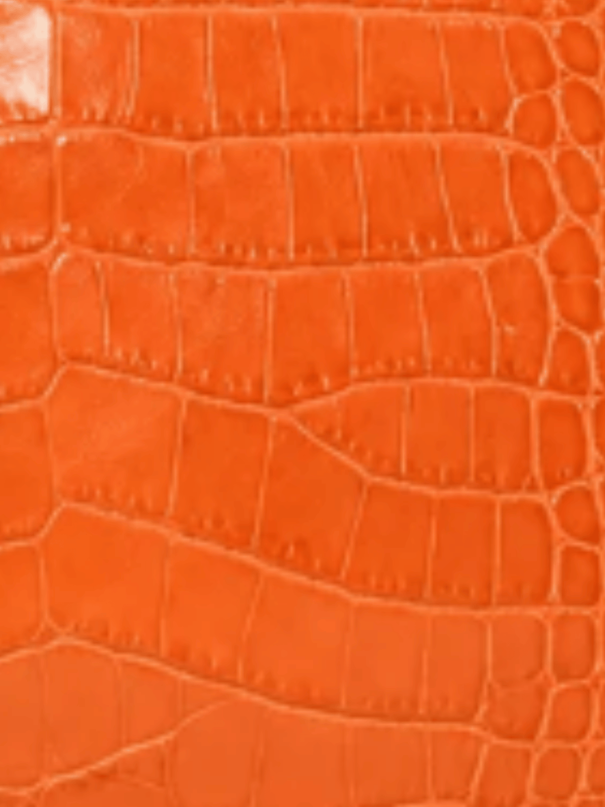 Valentino SS 2005 Purple Croc Wrislet Bag