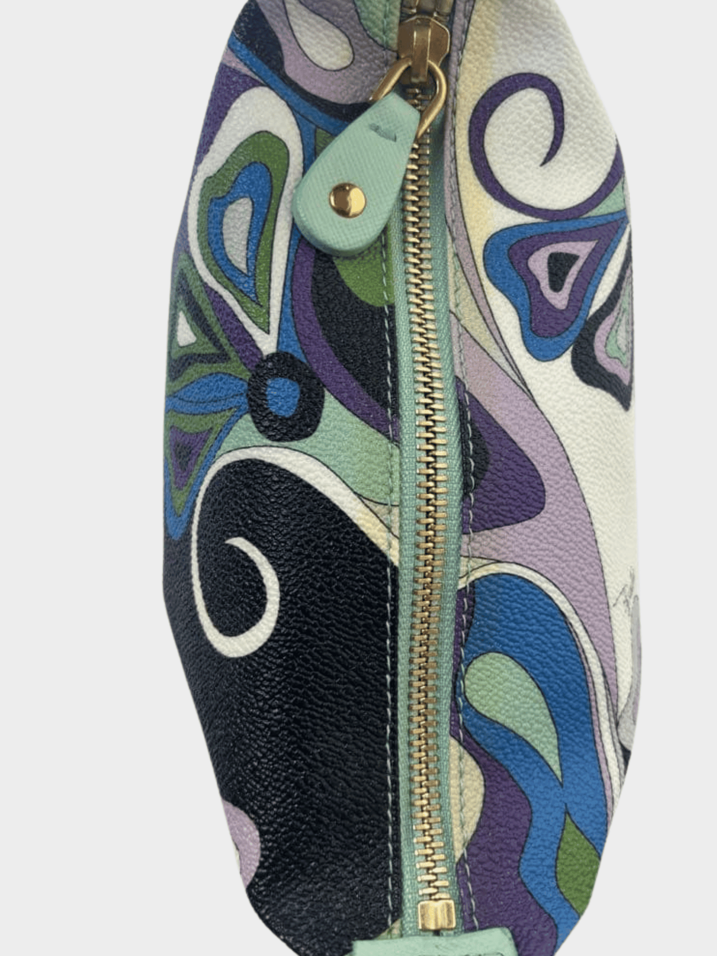 Emilio Pucci 2000s Printed Leather Mini Bag