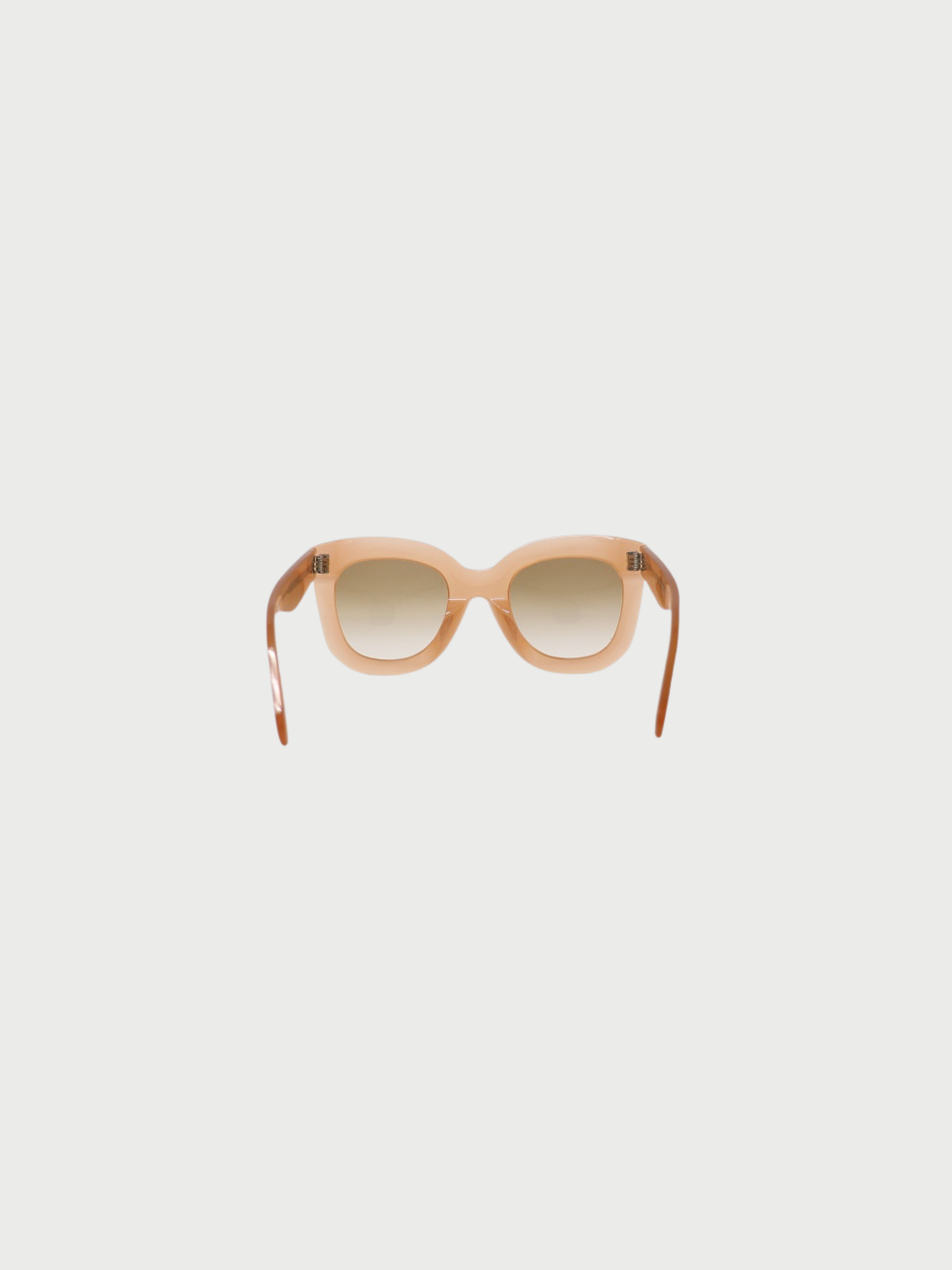 Celine 2020s Clear Brown Plastic Sunglasses