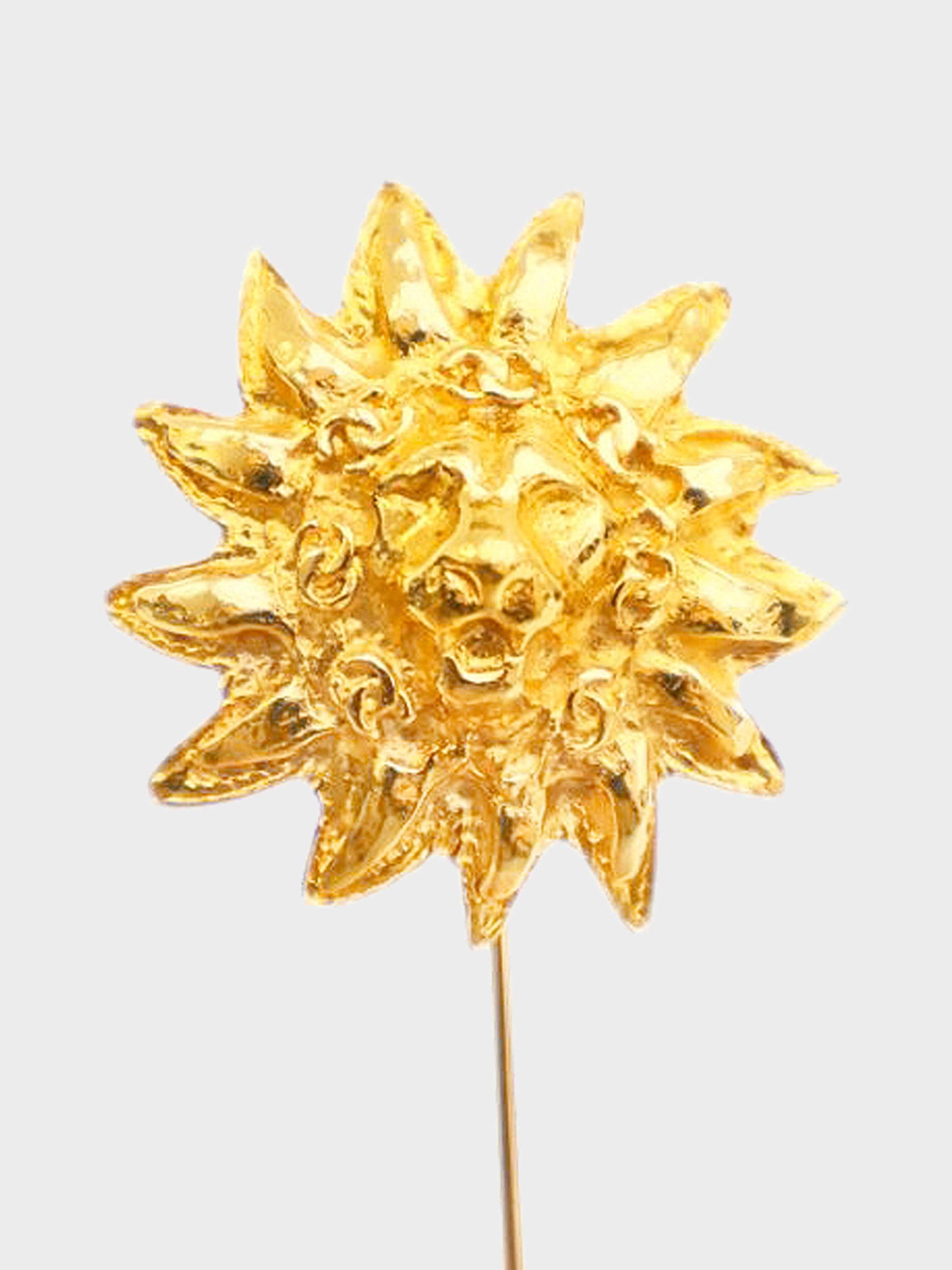Chanel 1980s Gold Lion Head Brooch