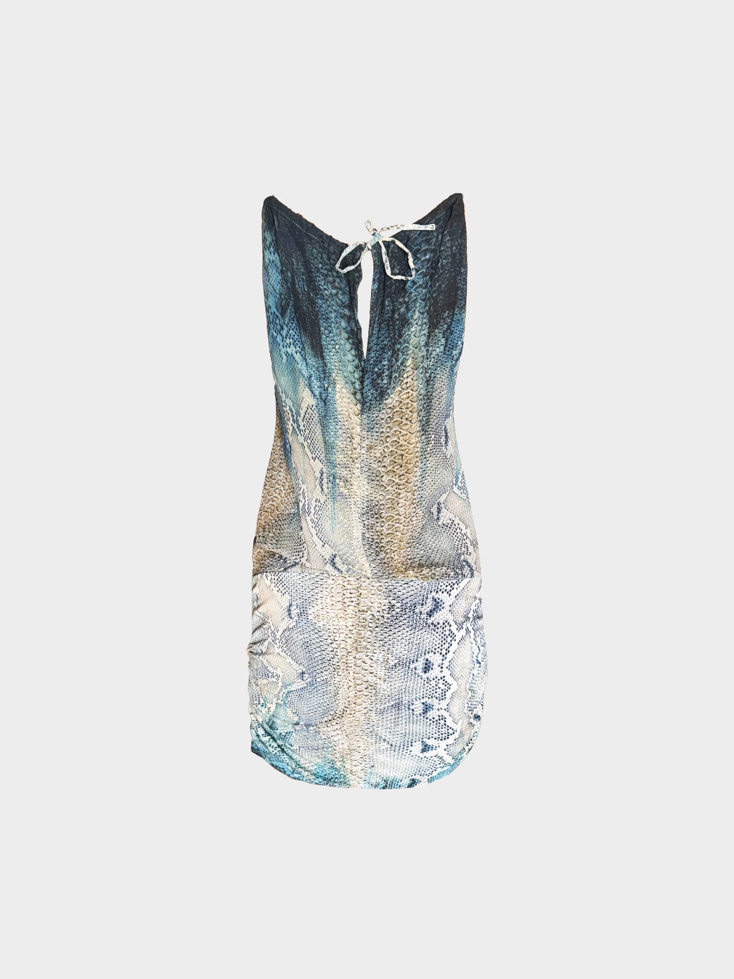 Roberto Cavalli Late 2000s Blue and Beige Snake Skin Print Silk Dress