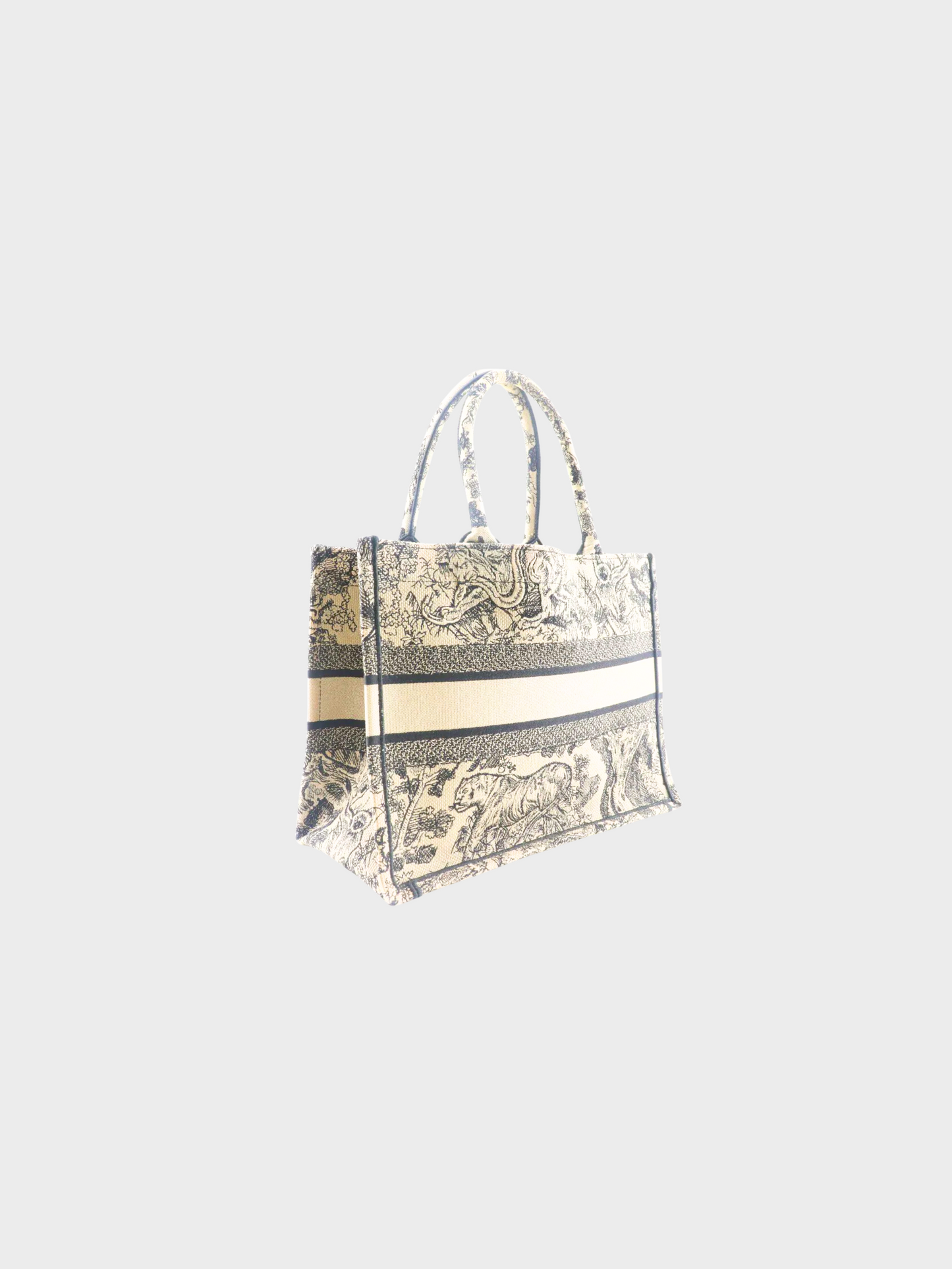 Christian Dior 2022 Beige Toile de Joui Medium Book Tote