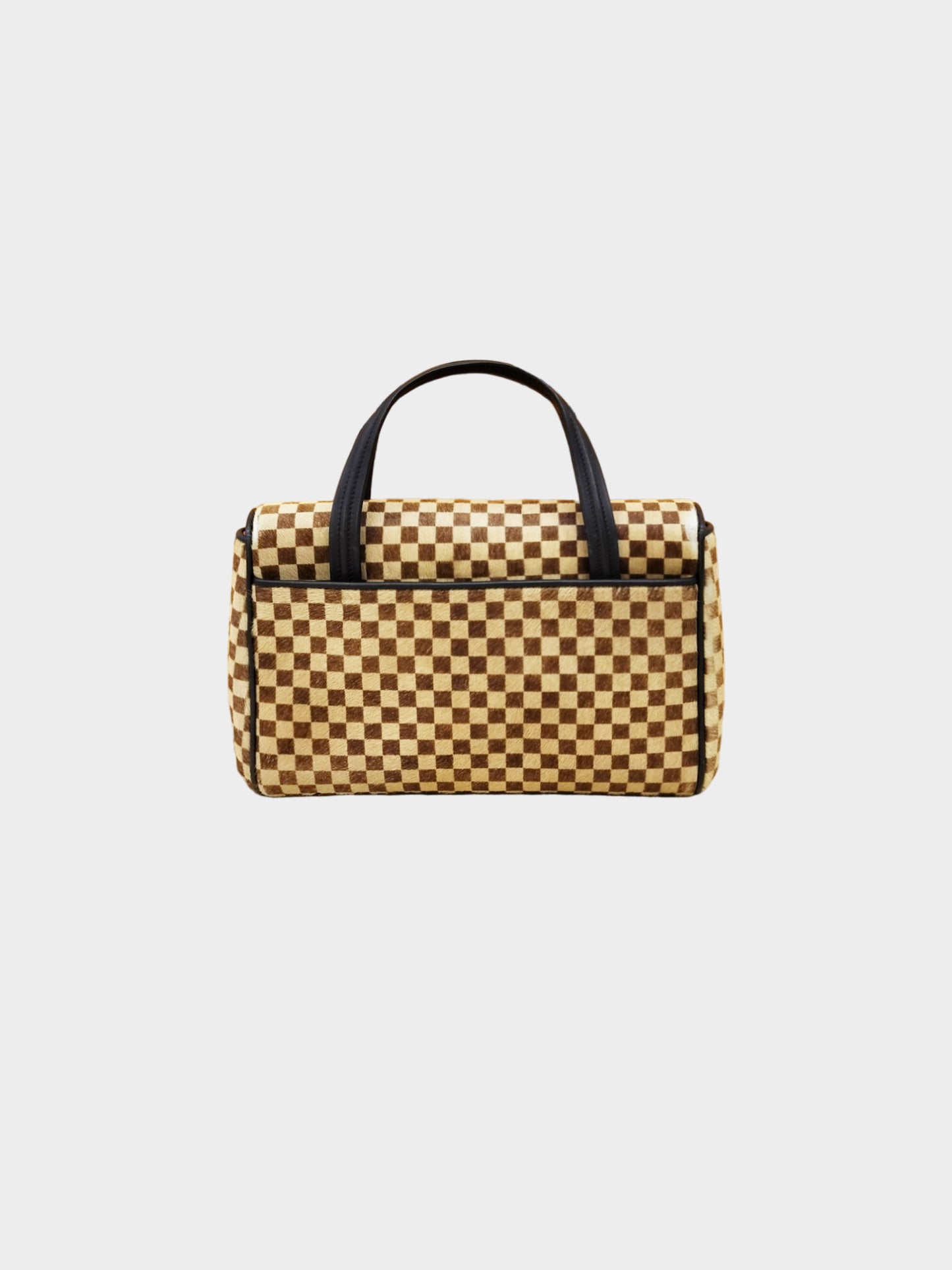 Louis Vuitton 2009 Damier Sauvage Lionne Pony Hair Handbag