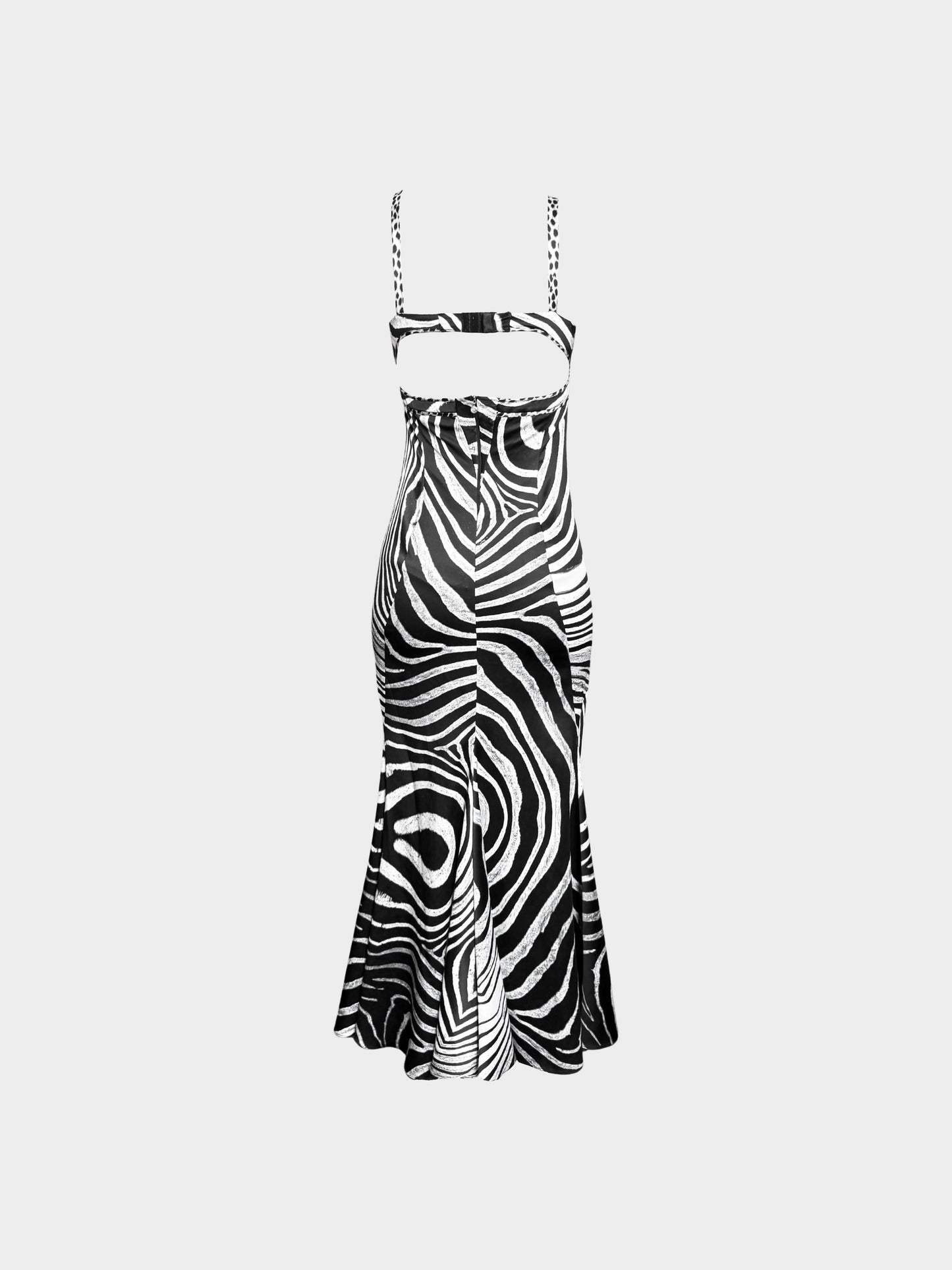 Roberto Cavalli 2000s Black and White Zebra Print Bustier Maxi Dress