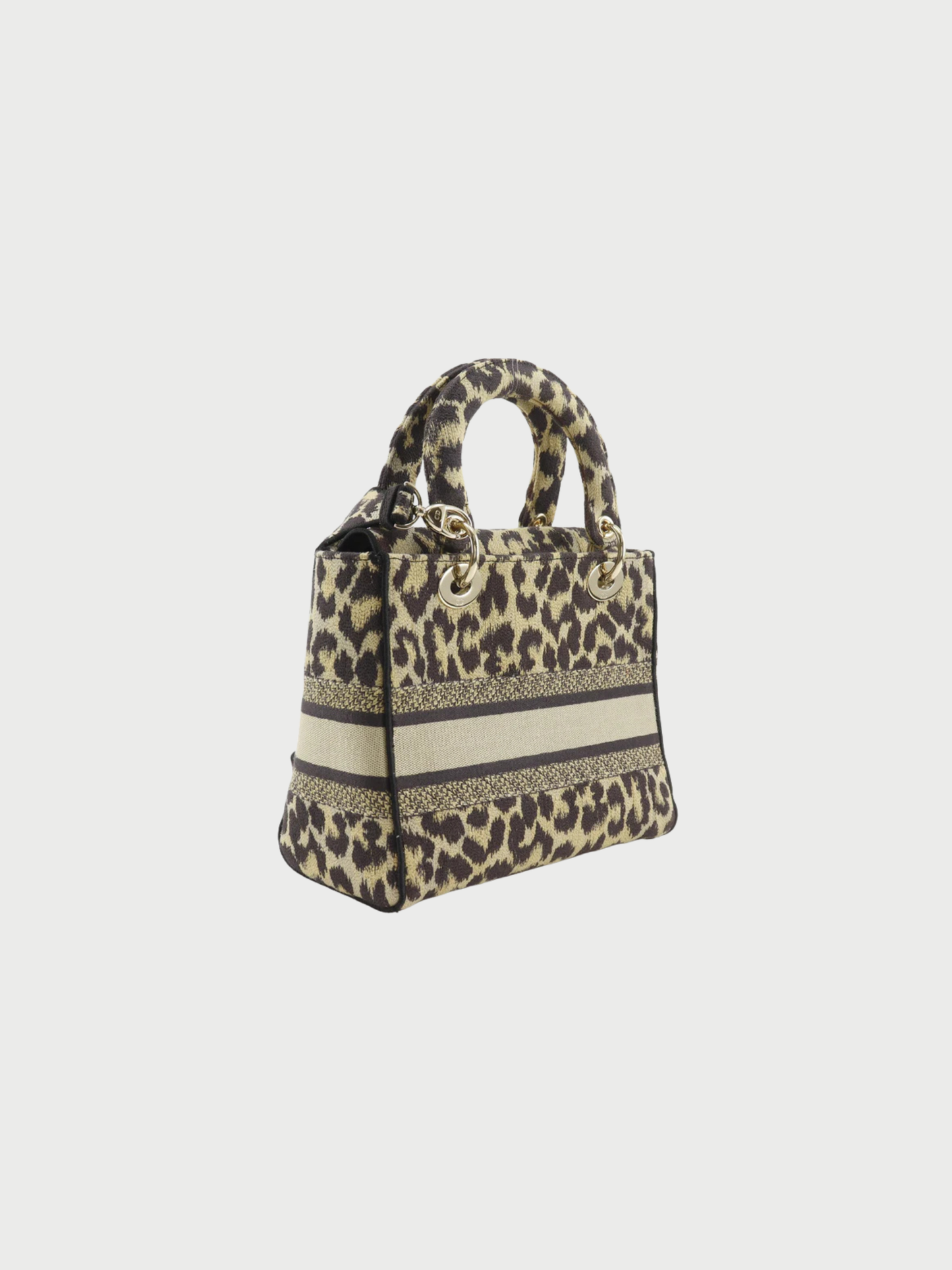 Christian Dior 2020s Brown Leopard Canvas Lady D-Light Medium Handbag