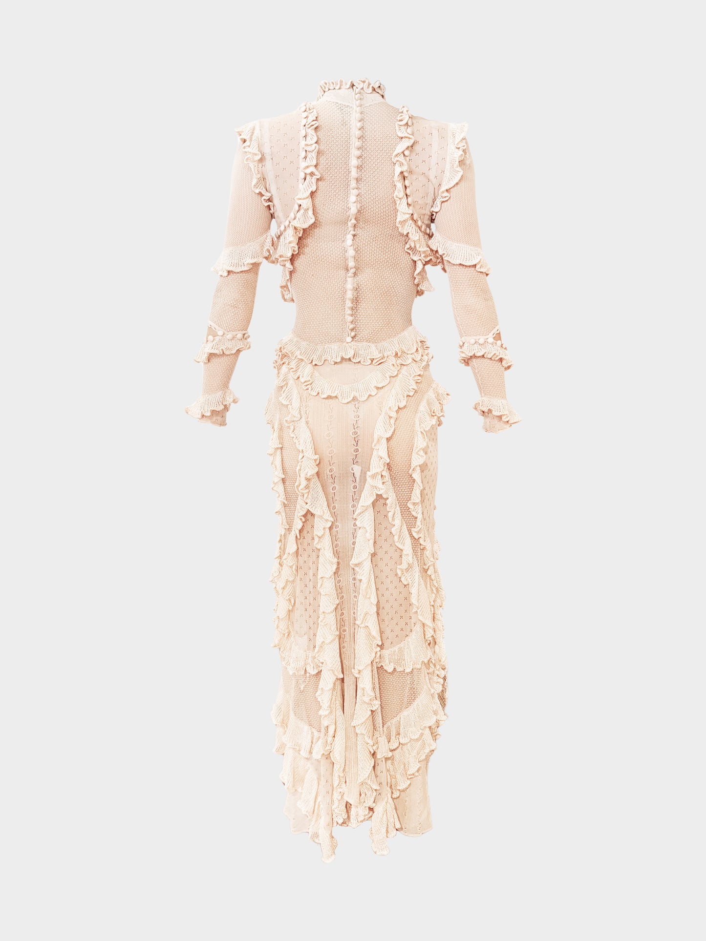 Alexander McQueen Spring 2016 Runway Beige Frills and Ruffle-detailed Sheer Long Dress