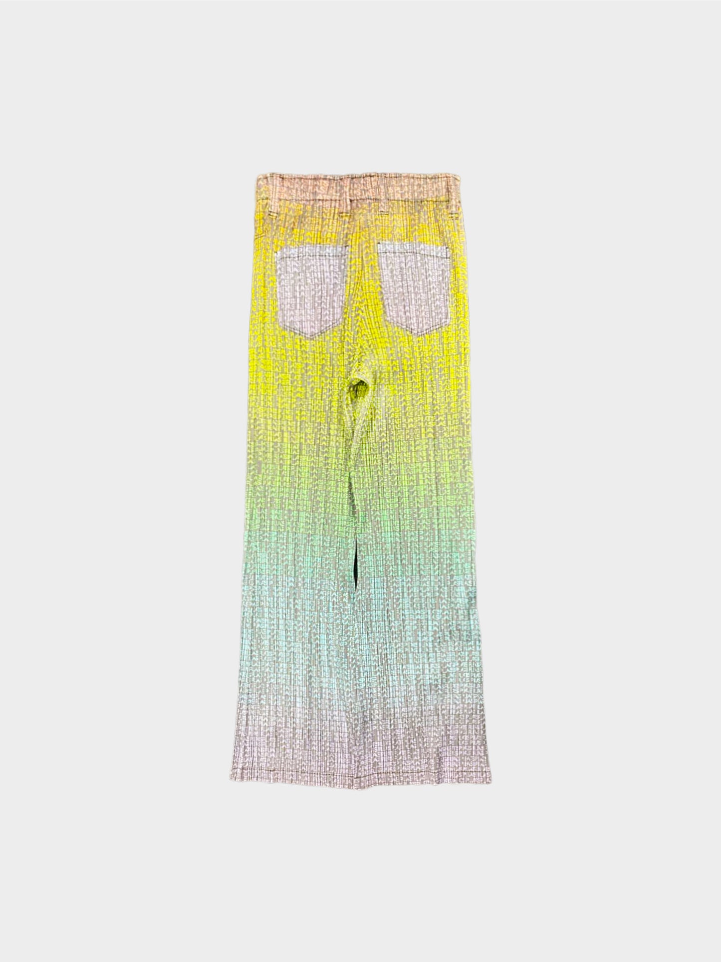 Issey Miyake 2006 Rare Pleats Please Gradient All-over Logo Print Wide Pants