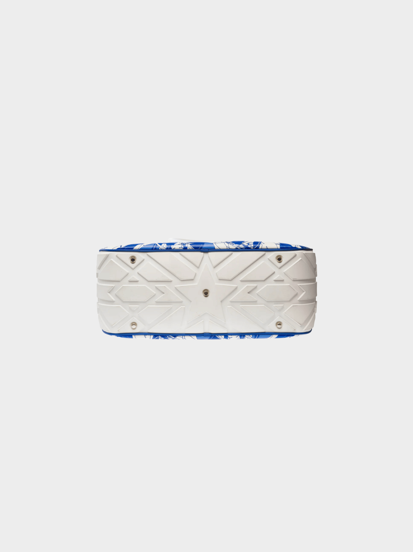Christian Dior 2021 Blue and White Calfskin Large Dior Vibe Zip Bowling Bag