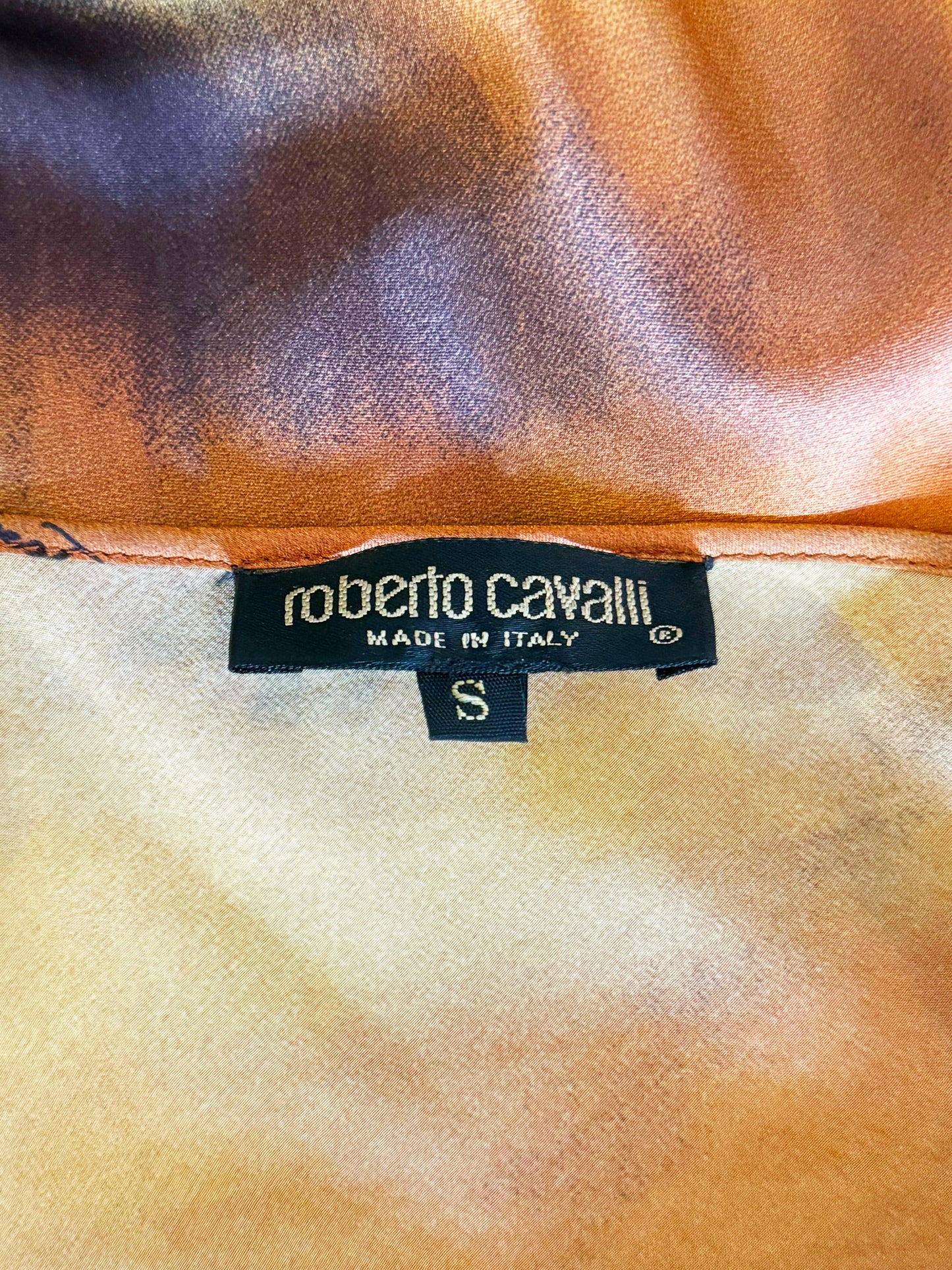 Roberto Cavalli FW 2000 Tiger Print Silk Slip Dress and Scarf Set
