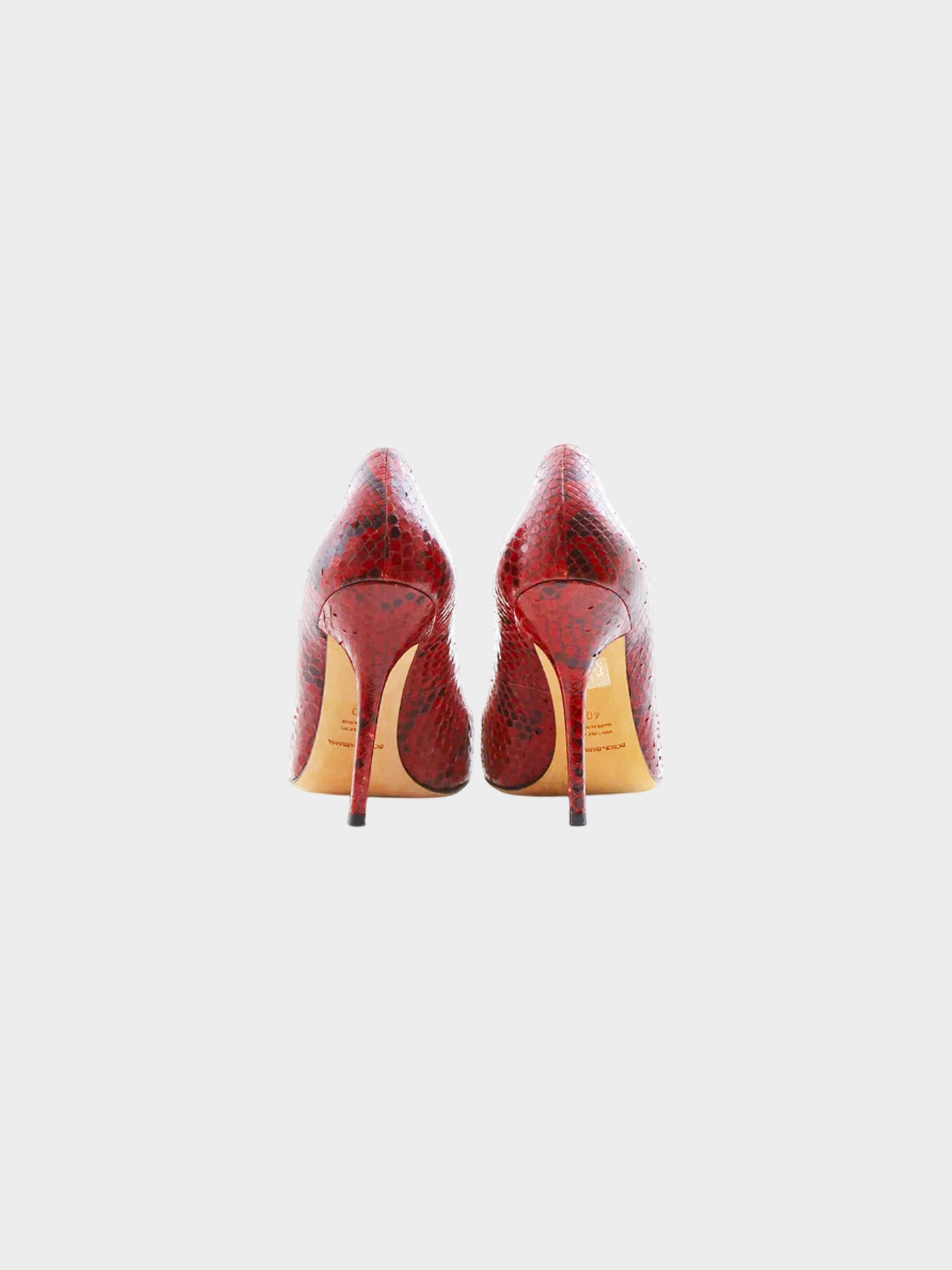 Dolce and Gabbana 2010s Red Cardinal Python Leather Pumps