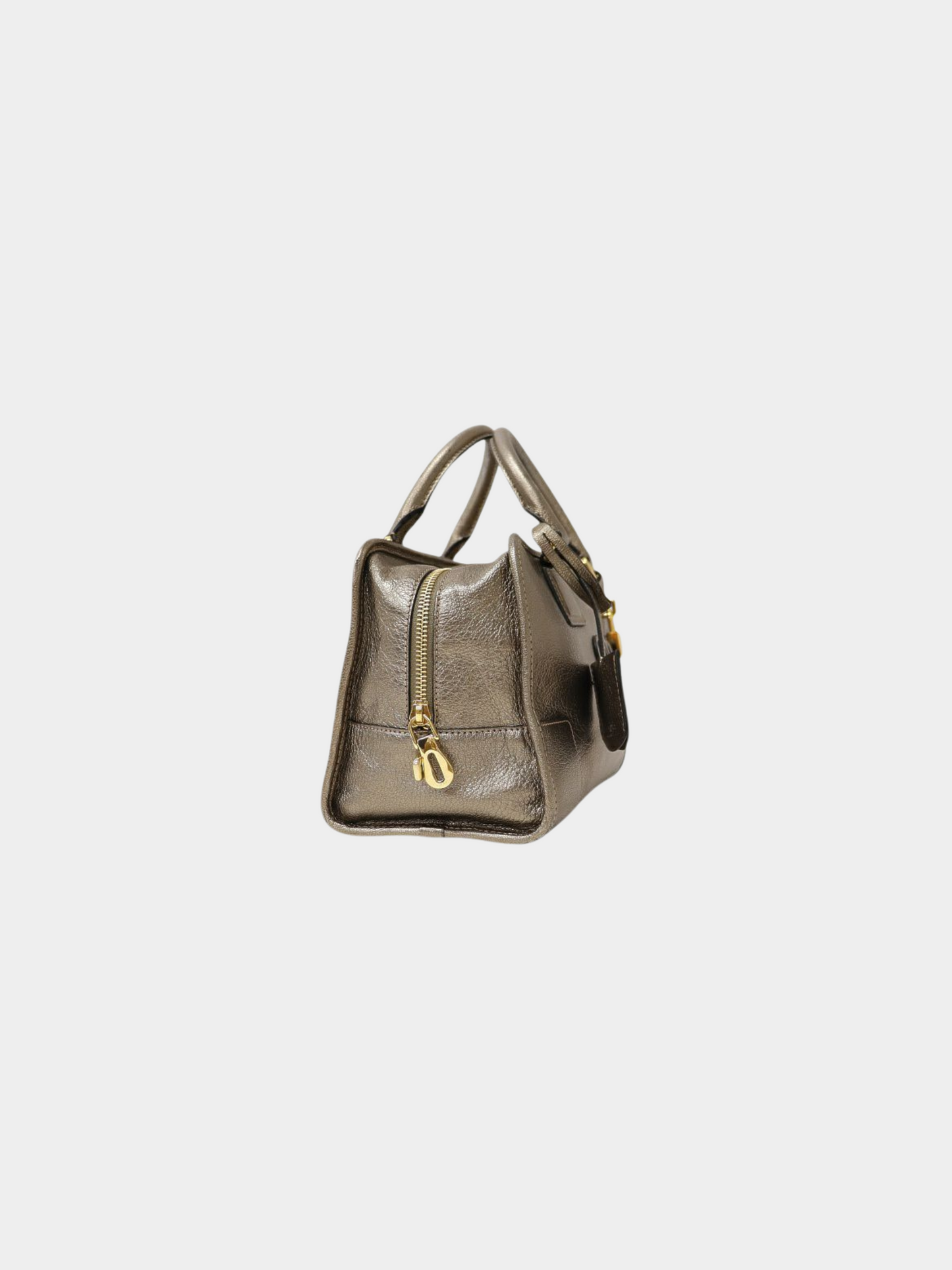 Loewe 2000s Silver Amazona 28 Leather Bag