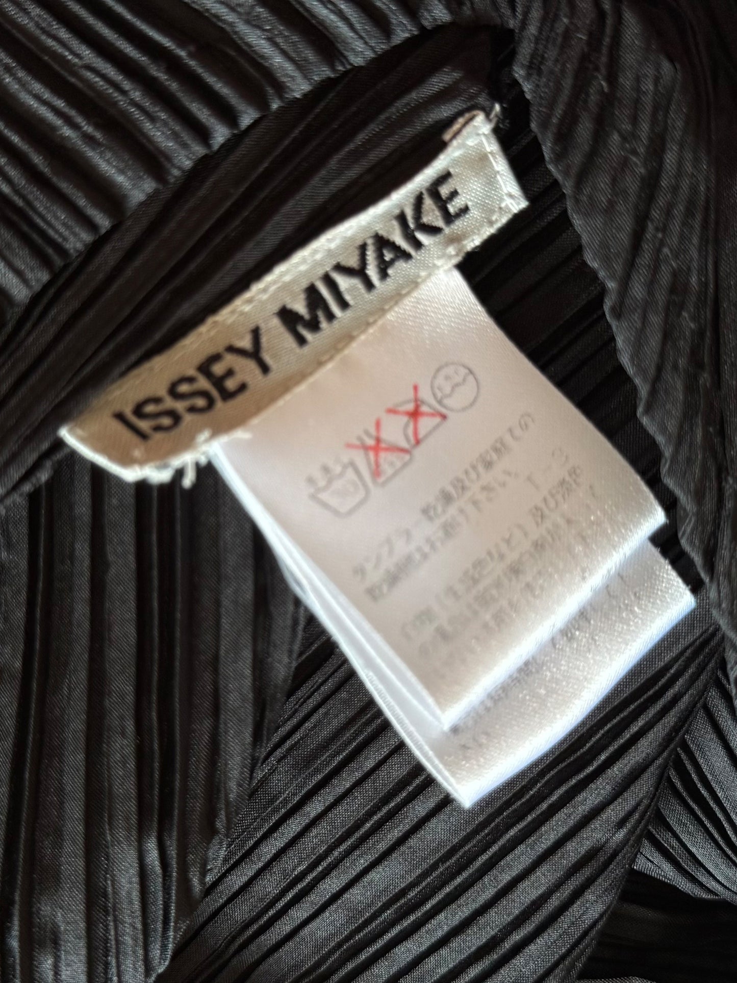 Issey Miyake 2010s Black Pleated Ruffled Dress
