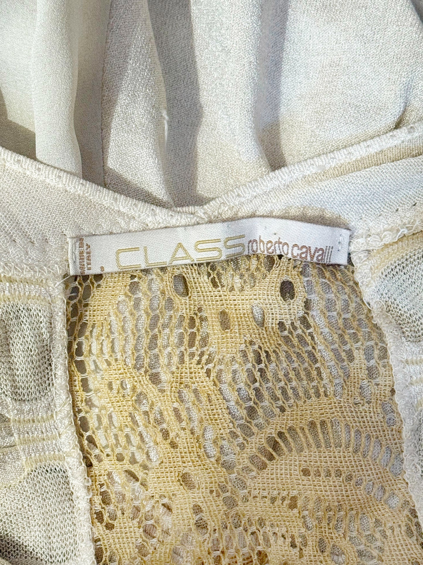 Roberto Cavalli 2000s Beige Polyester and Lace Mesh Long Dress