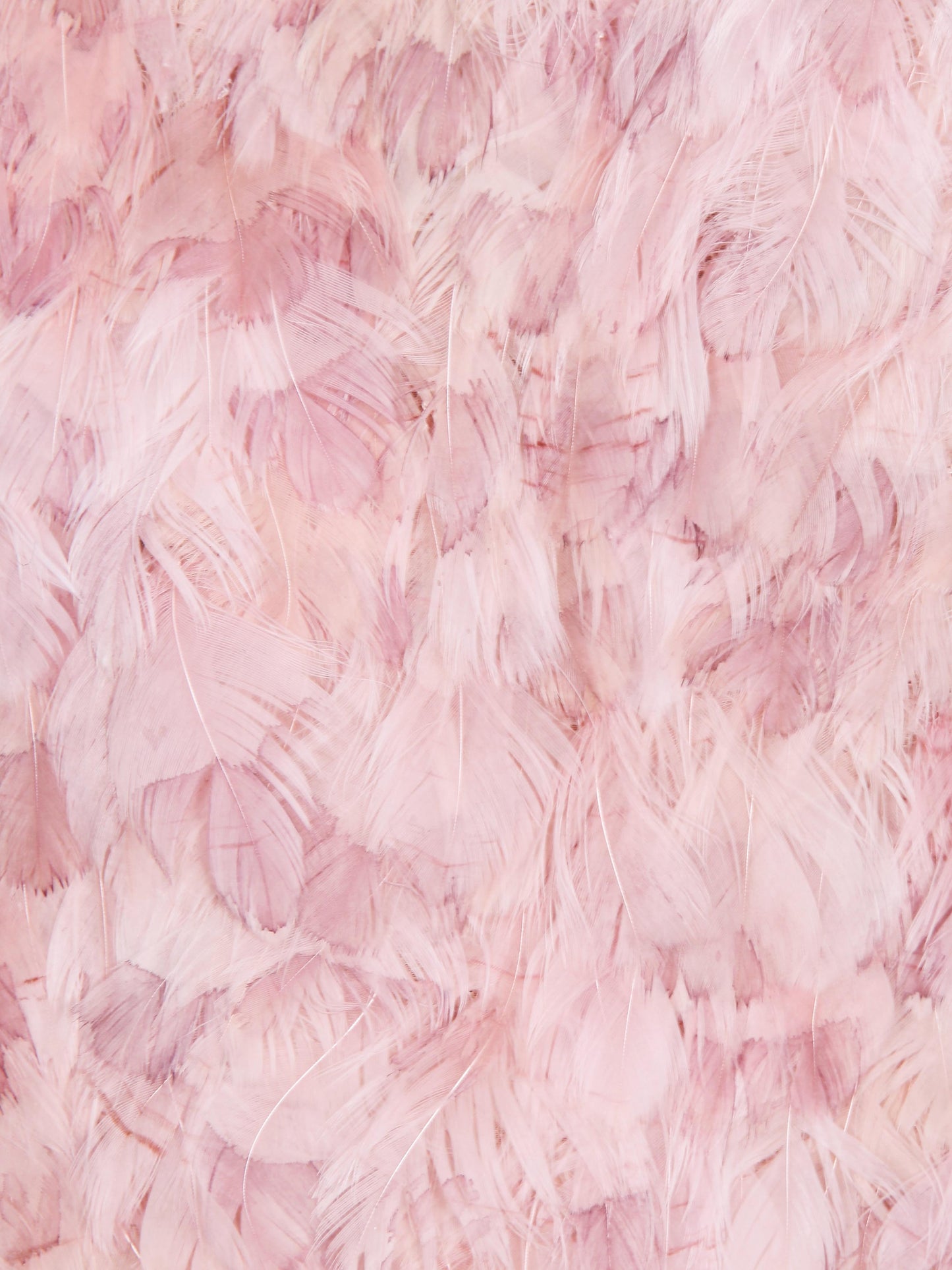 Tom Ford 2010s Pink Feather Bustier Top