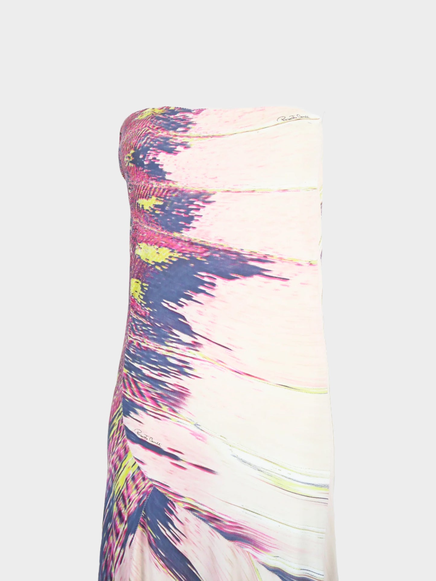 Roberto Cavalli SS 2004 Pink Feather Printed Silk Maxi Dress/Skirt