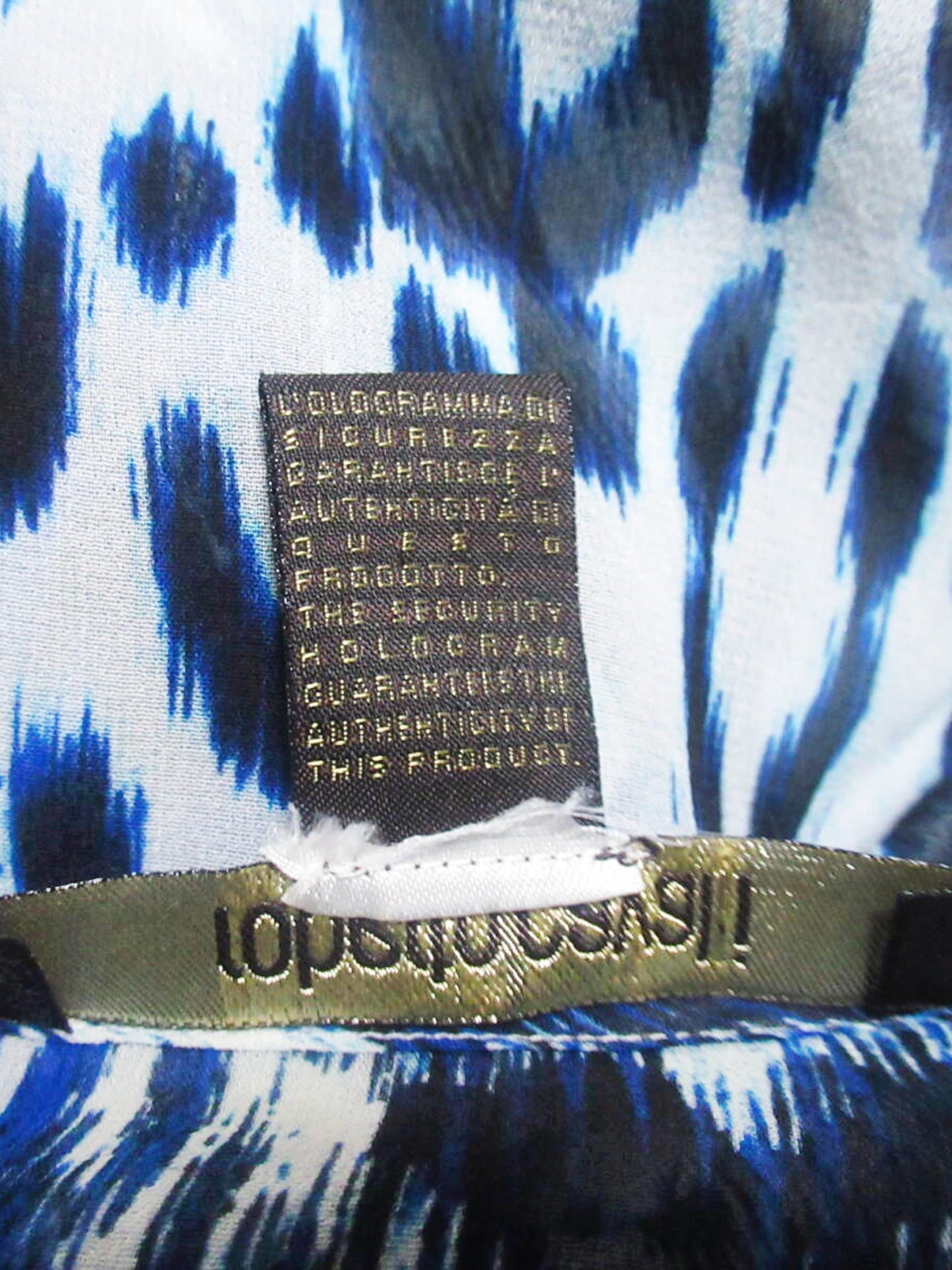 Roberto Cavalli 2010s Blue and White Animal Print Silk Poncho
