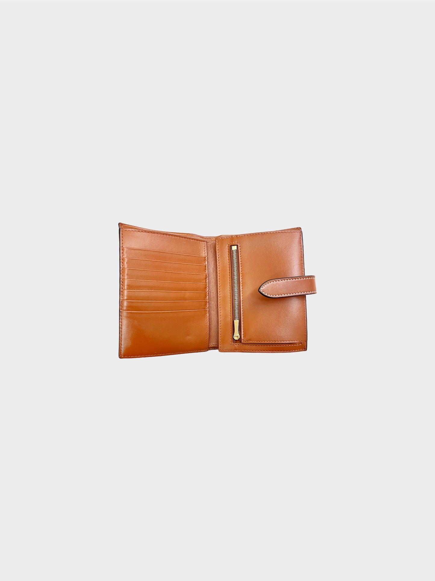 Celine 2021 Triomphe Canvas Wallet
