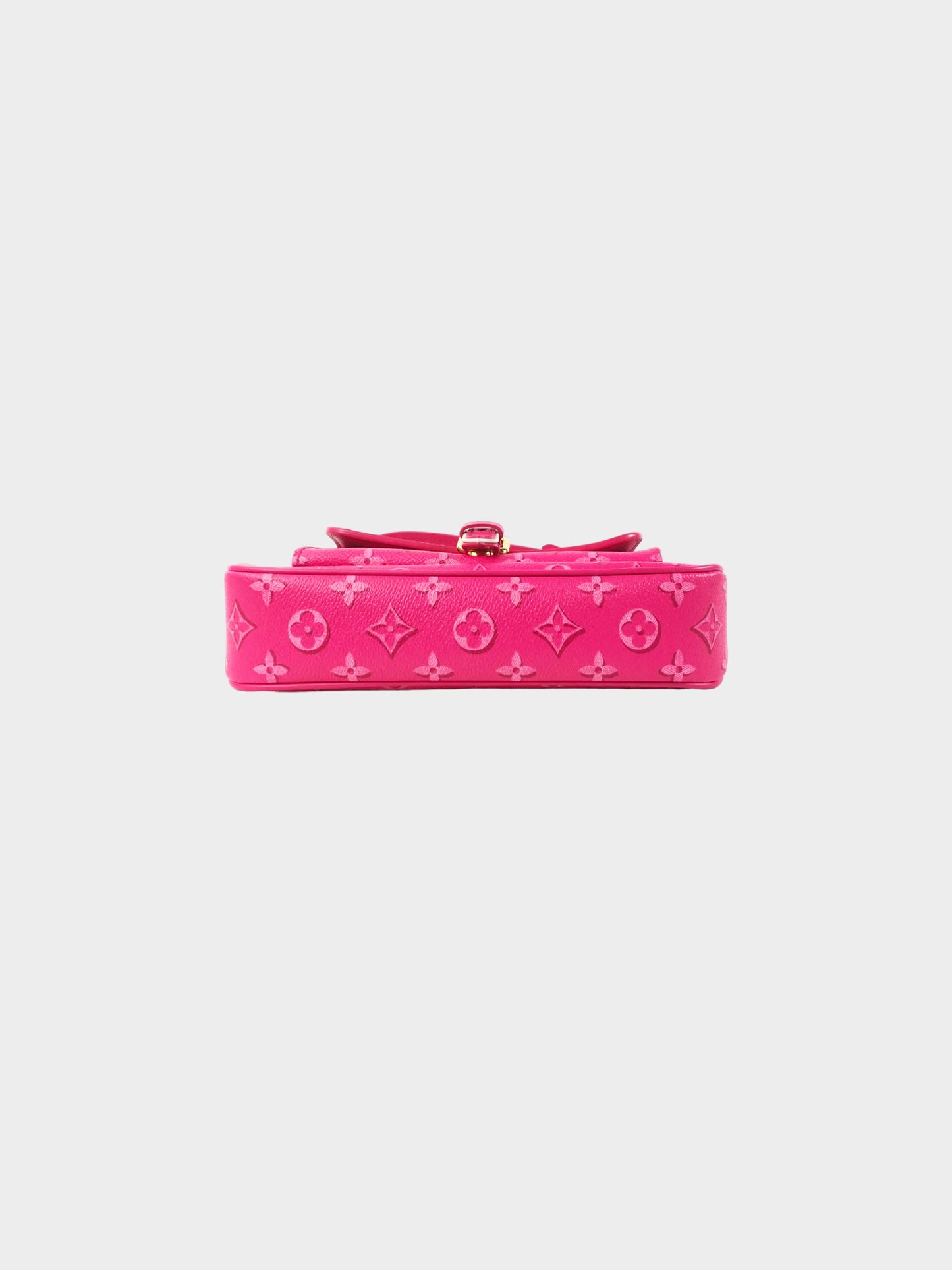 Louis Vuitton 2019 Pink Fall For You Maxi Multi Pochette
