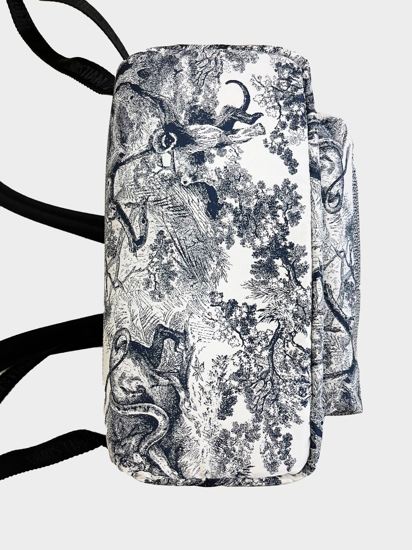 Christian Dior 2021 Toile De Jouy Small Backpack