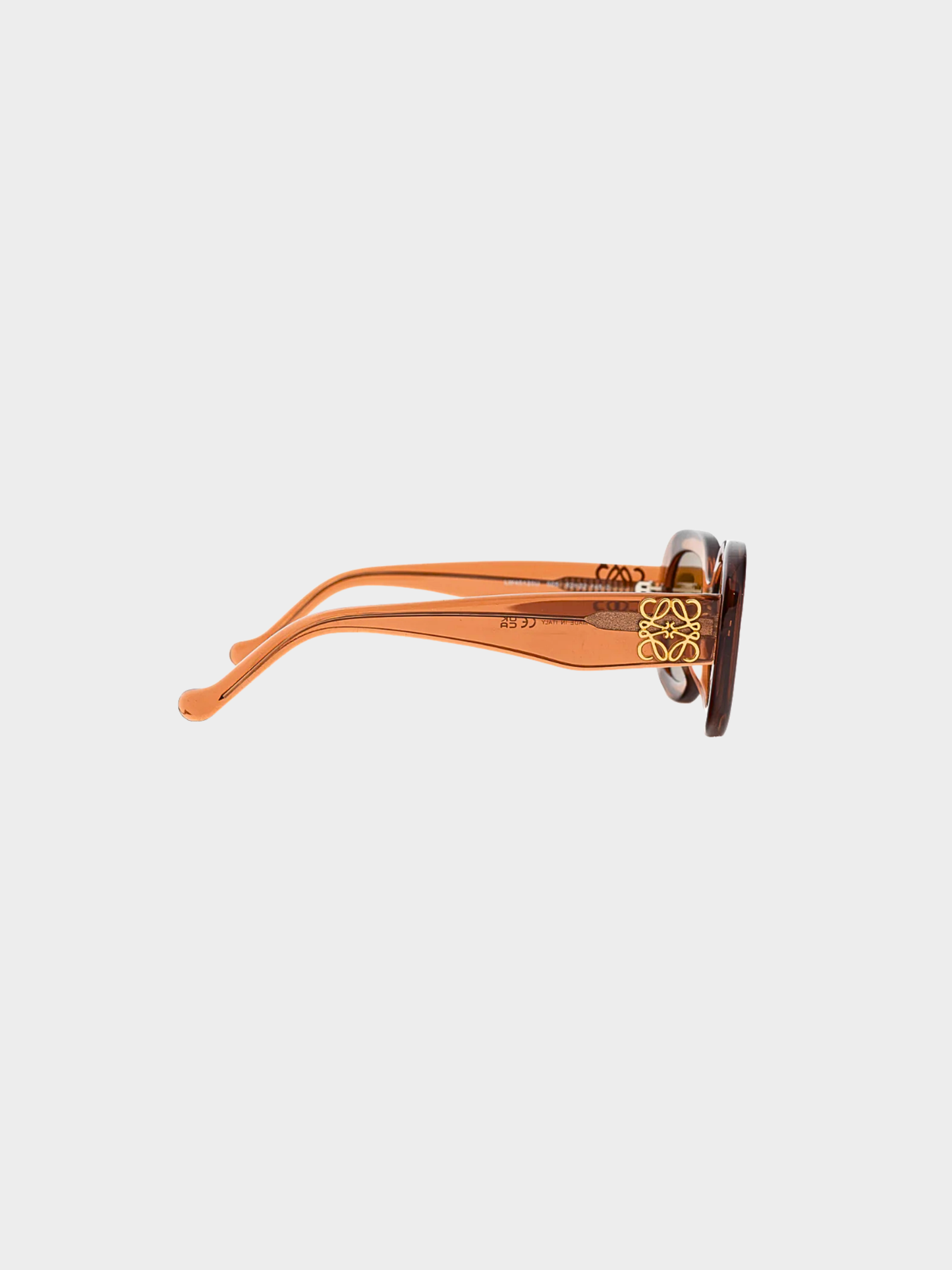 Loewe 2020s Blush Acetate Anagram Sunglasses