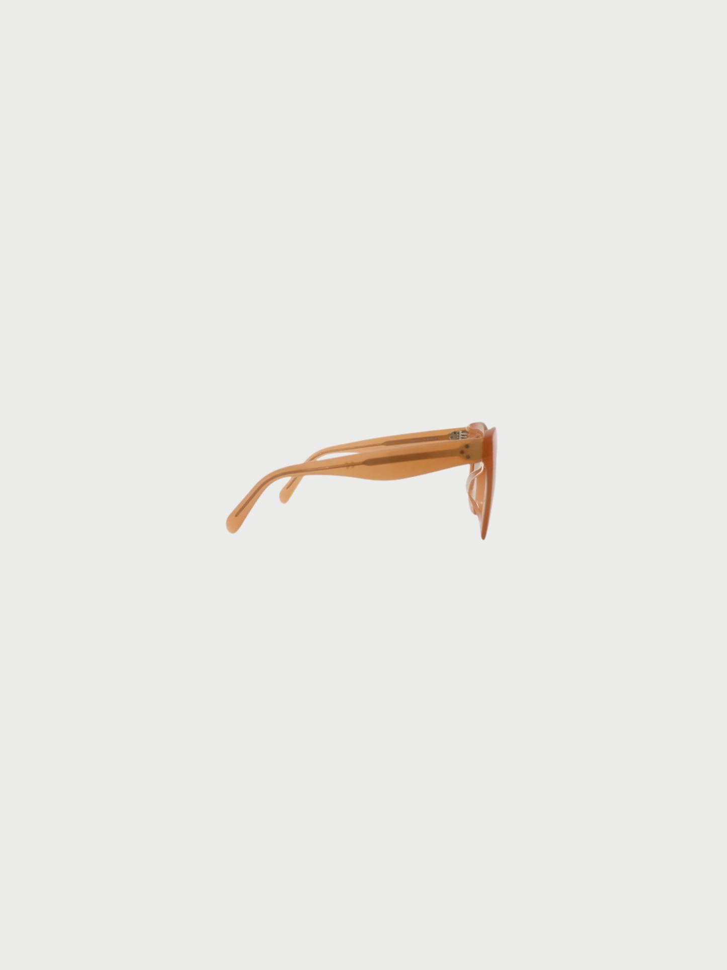 Celine 2020s Clear Brown Plastic Sunglasses