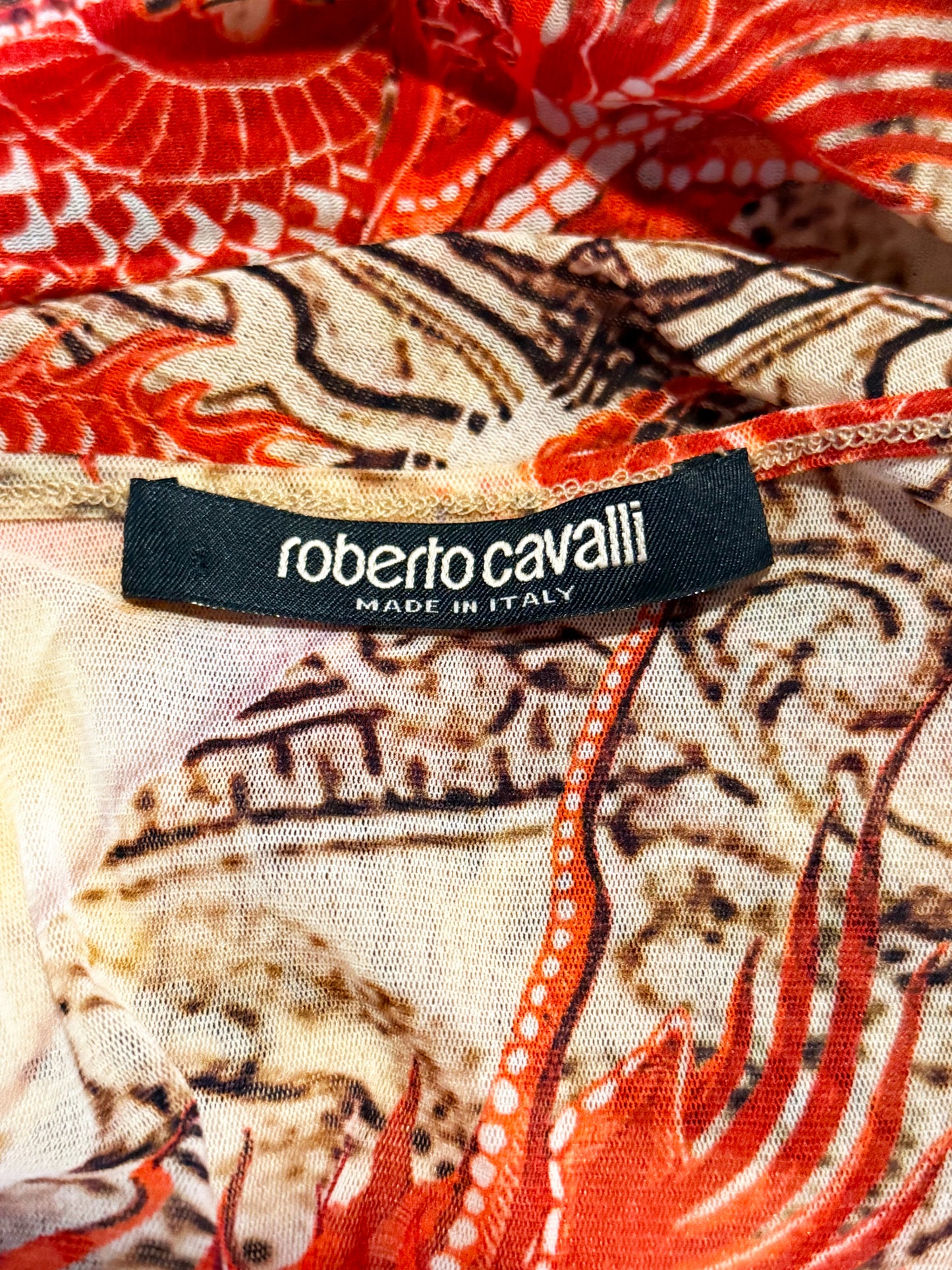 Roberto Cavalli 2020s Oriental Dragon Printed Top and Pants Set