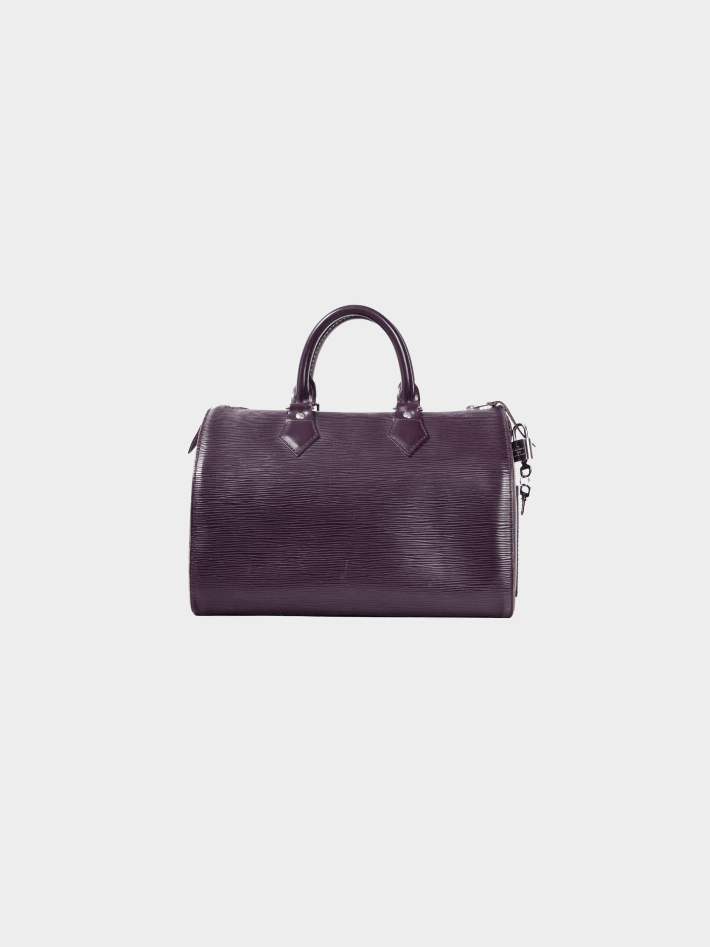 Louis Vuitton 2008 Speedy Eggplant Cassis Epi Leather Boston Bag