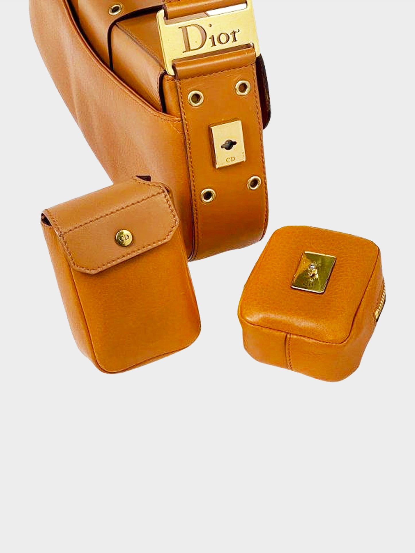 Christian Dior 2002 Street Chic Brown Bag