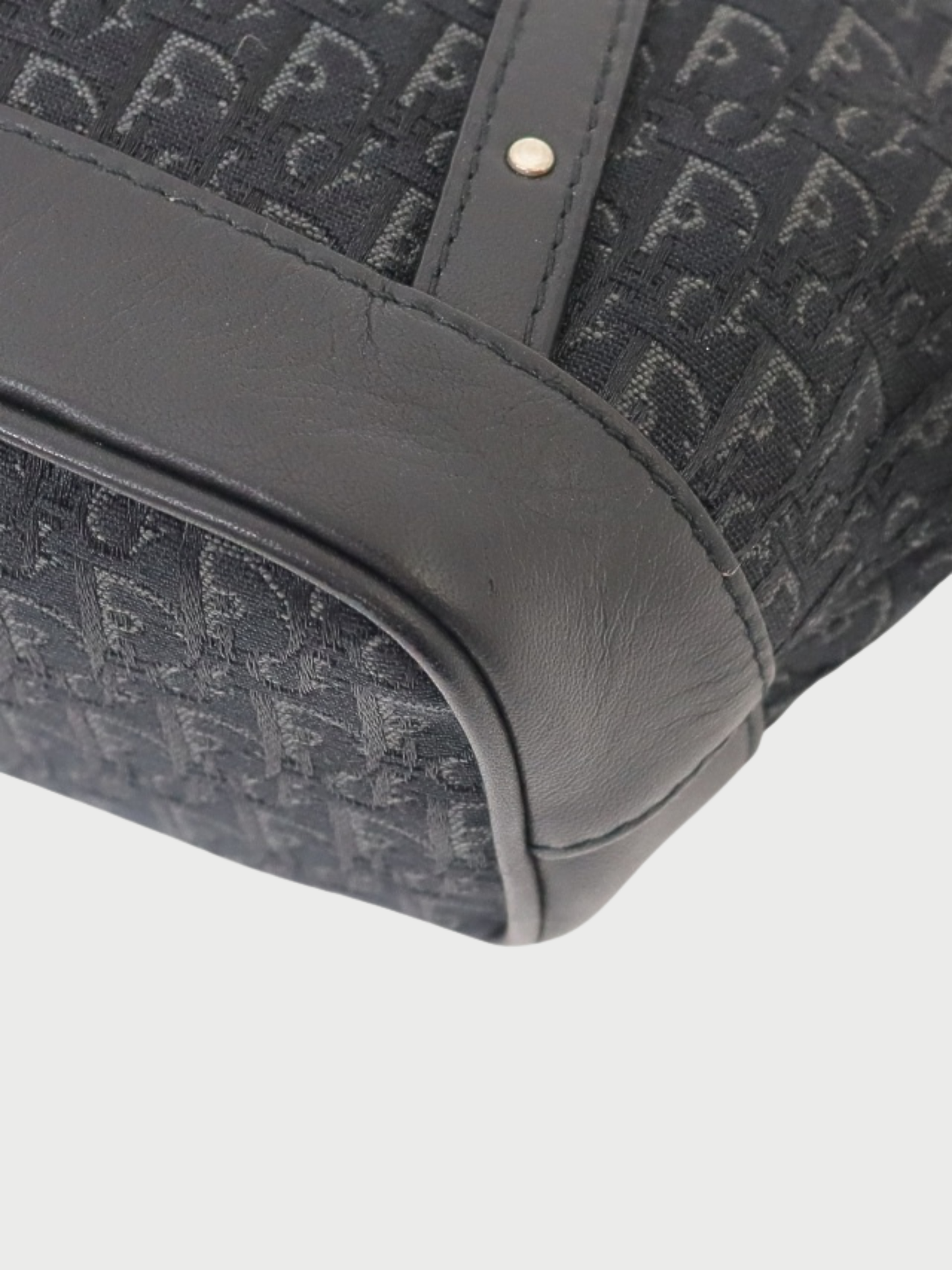 Christian Dior 2000s Black Trotter Canvas Mini Handbag