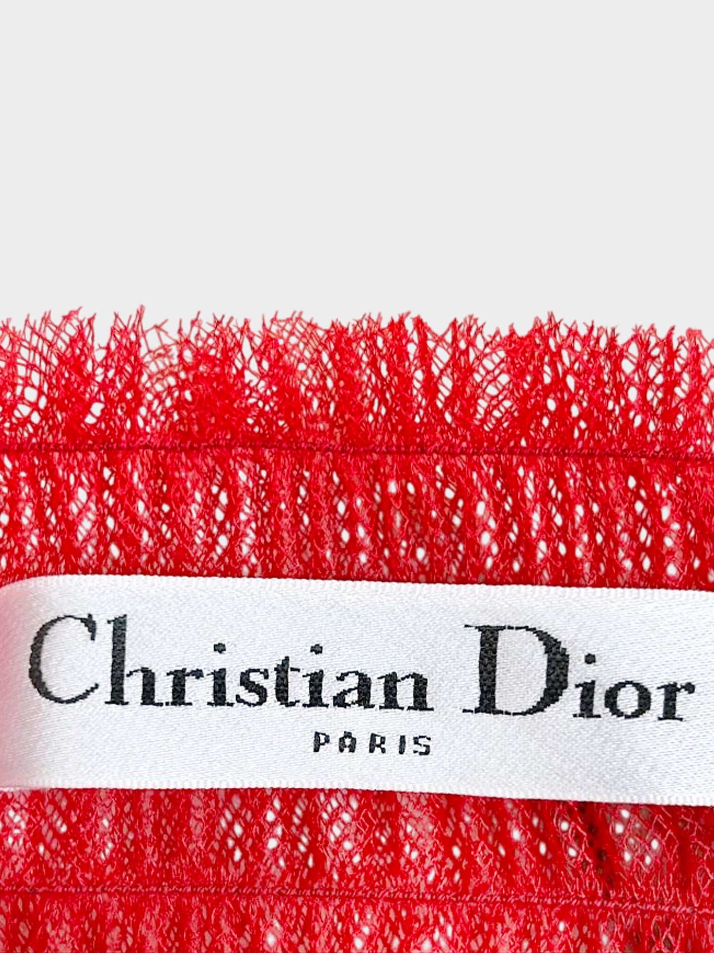 Christian Dior 2020s Red Tulle Mini Skirt and Silk Slip